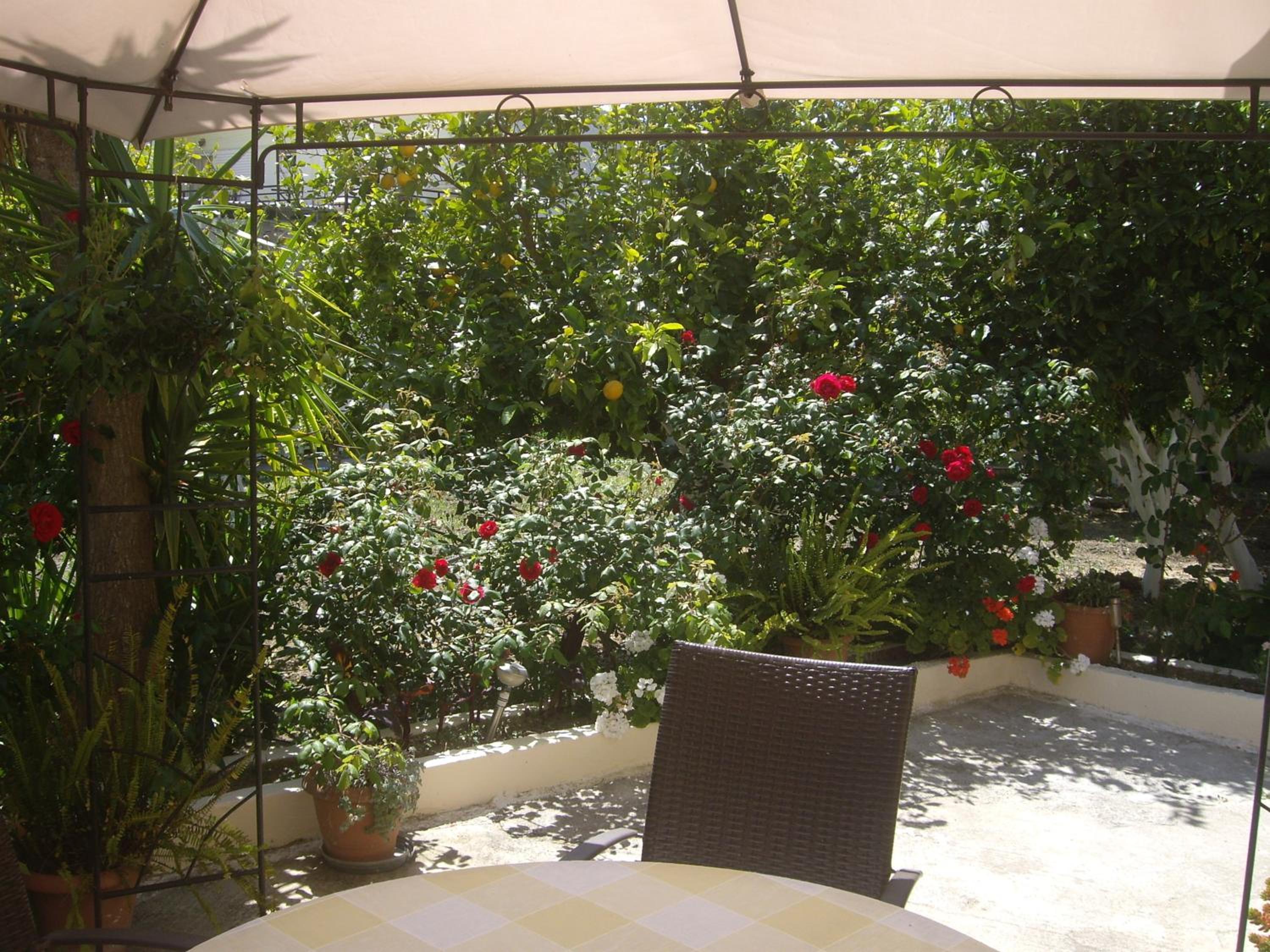 Photo 19