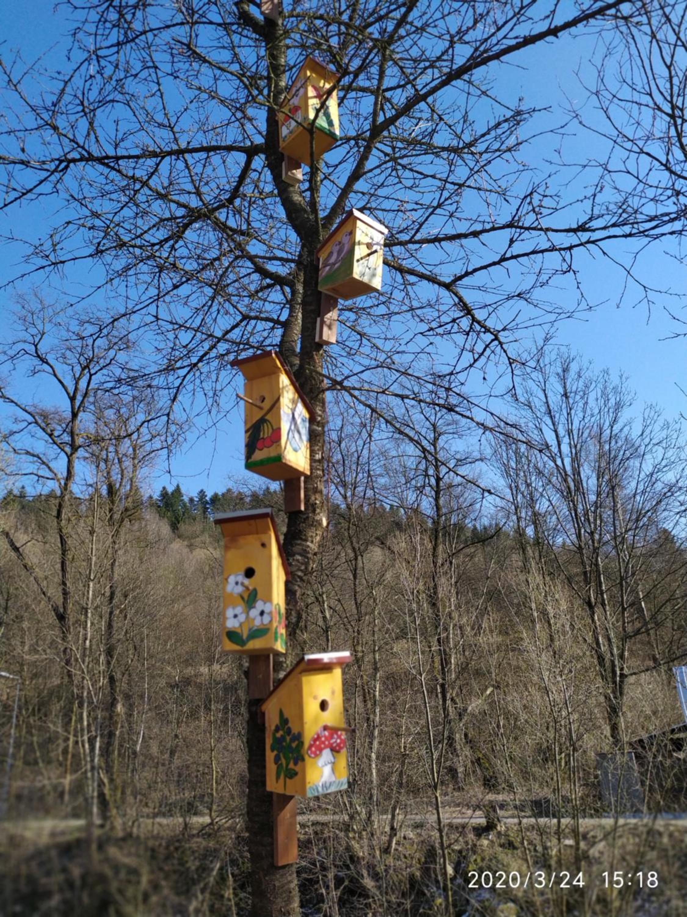 Photo 16