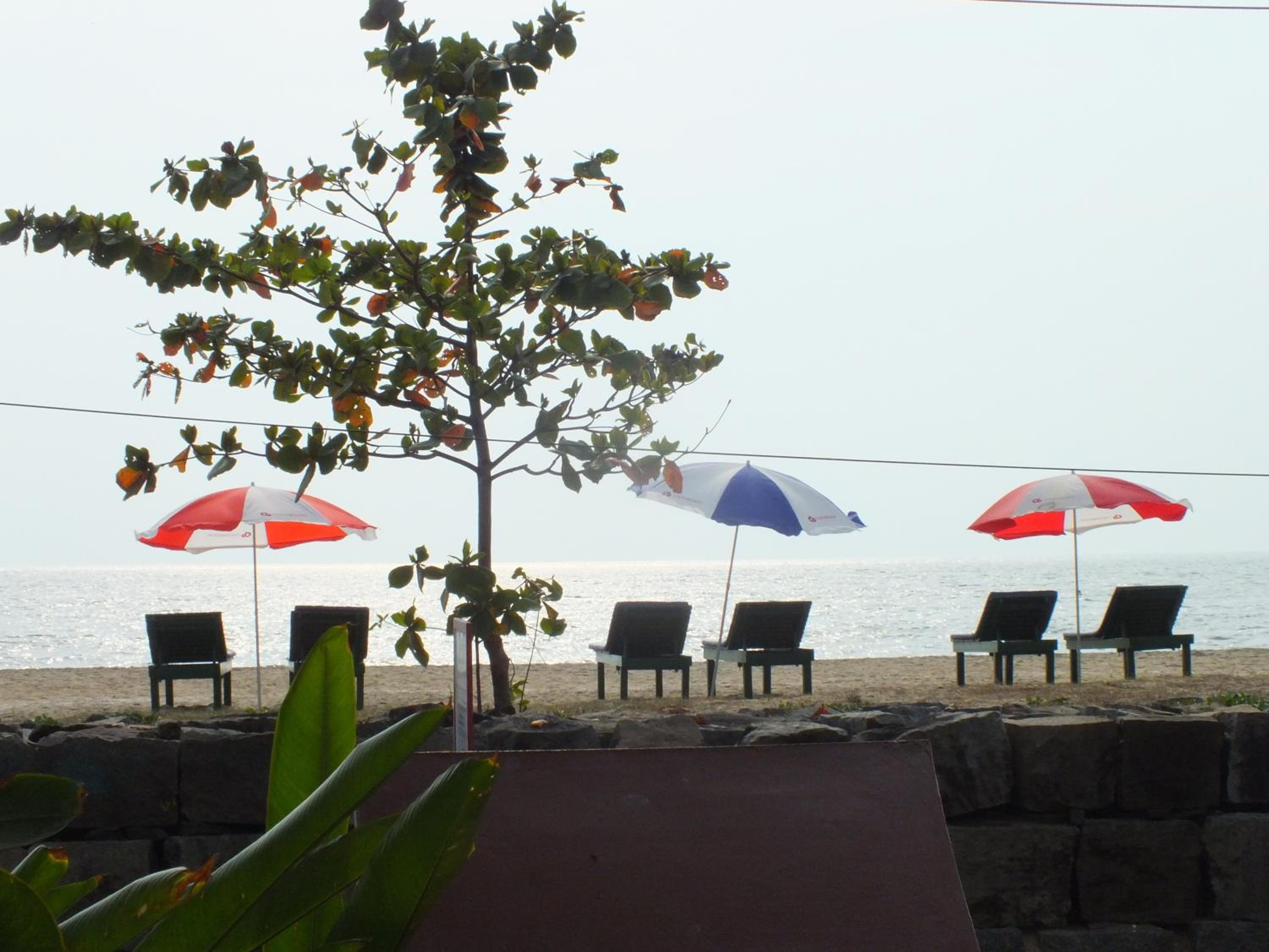 Cherai Beach Residency