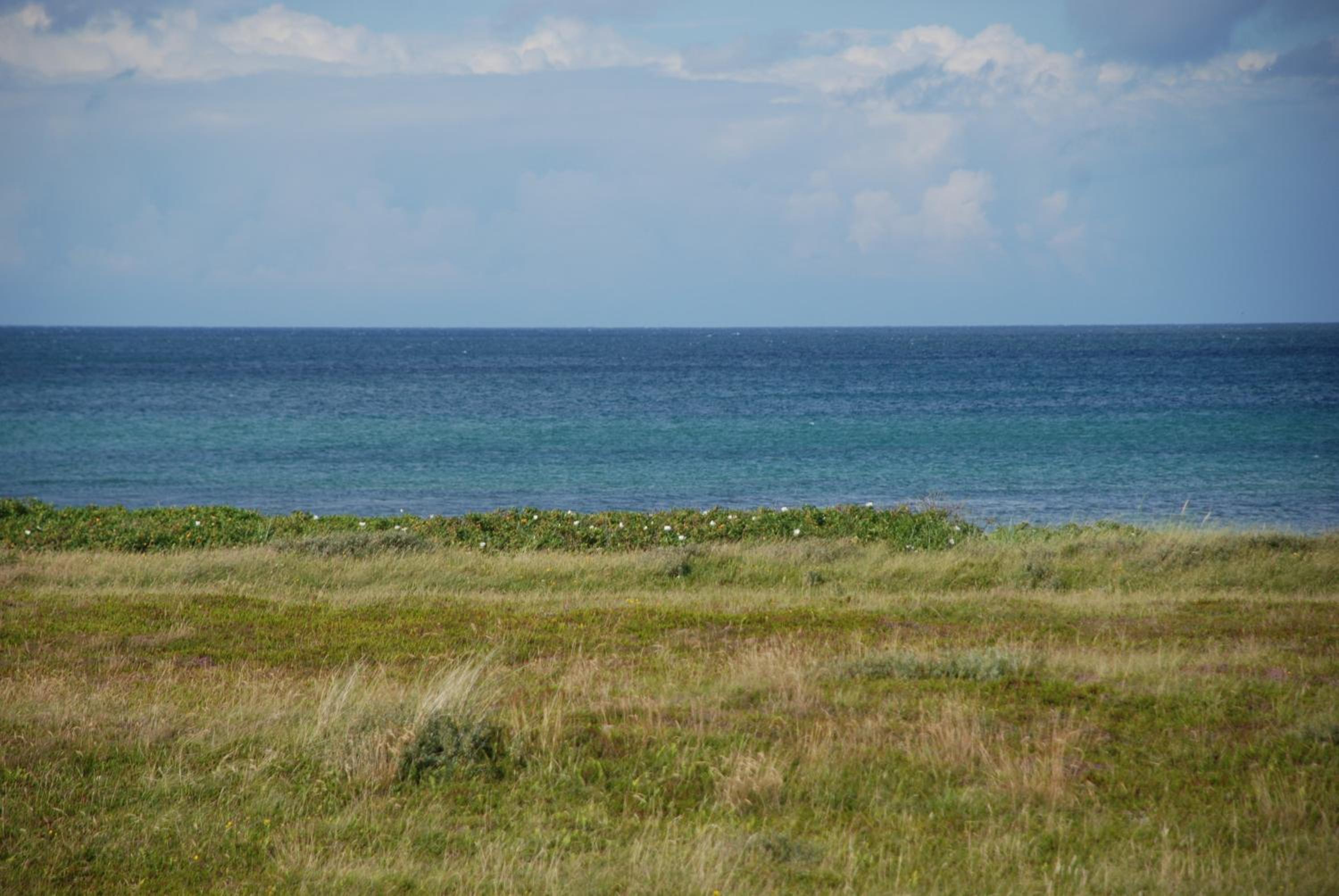 Sommerhus Farmen i Hanstholm