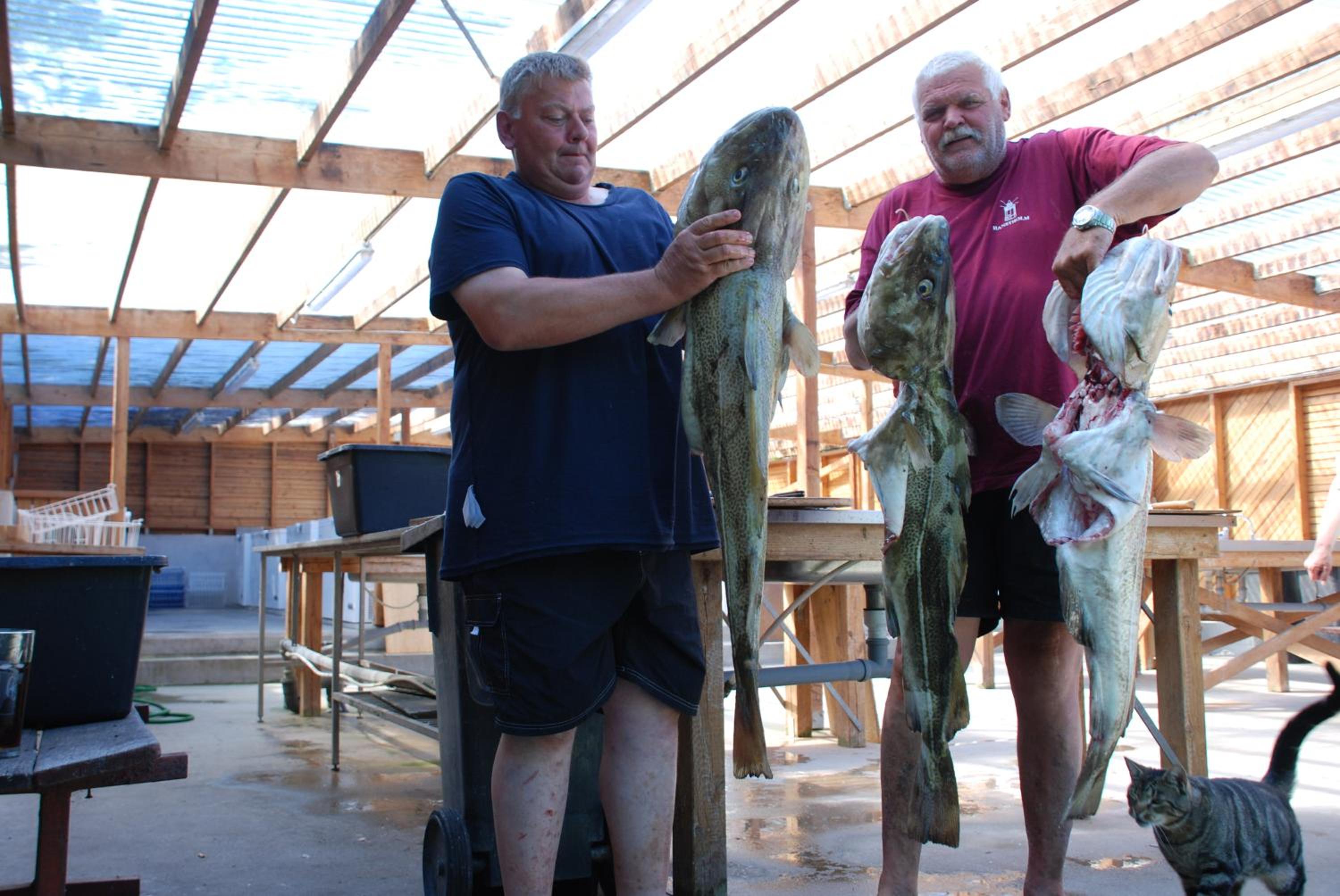 Sommerhus Farmen i Hanstholm