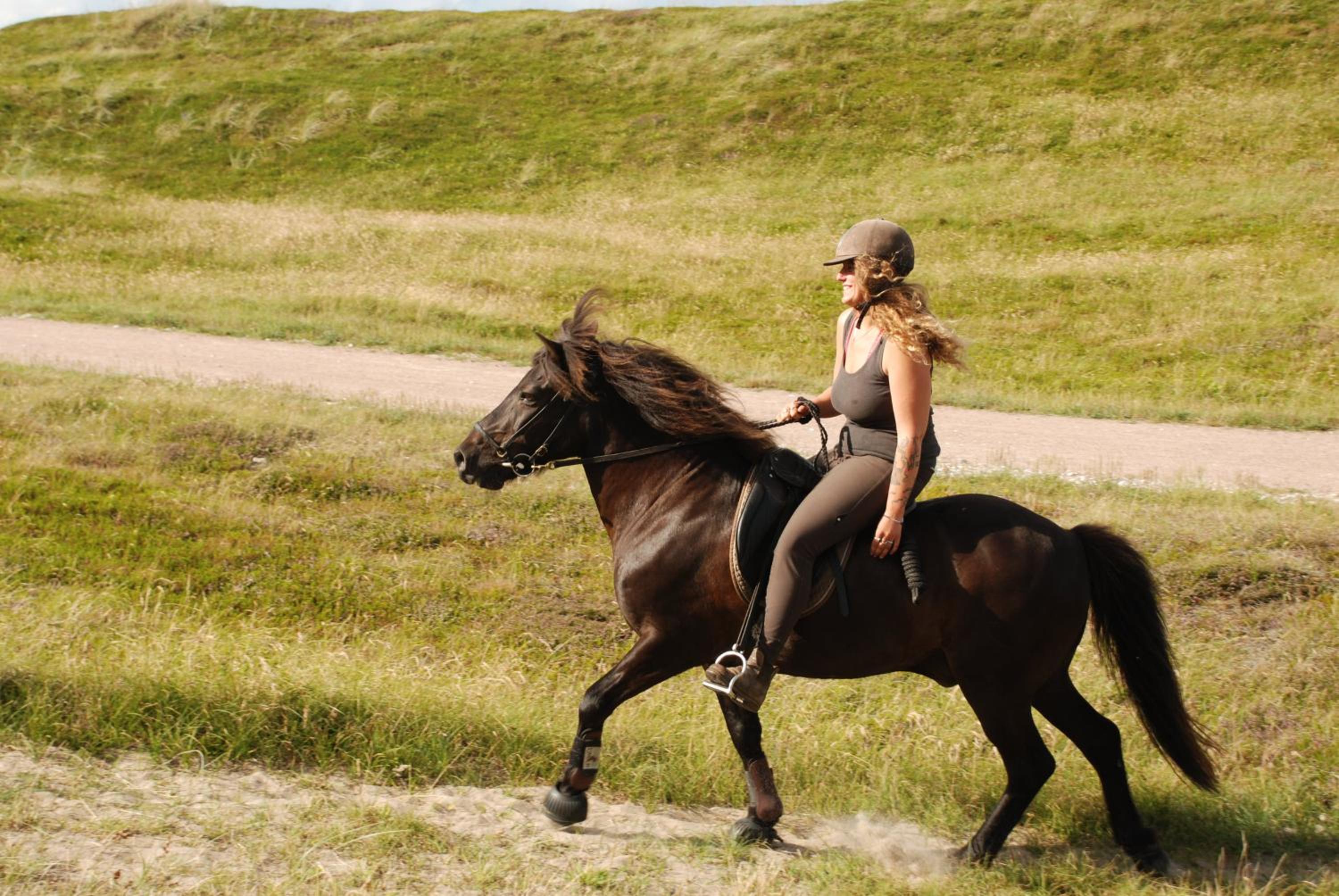 Sommerhus Farmen i Hanstholm