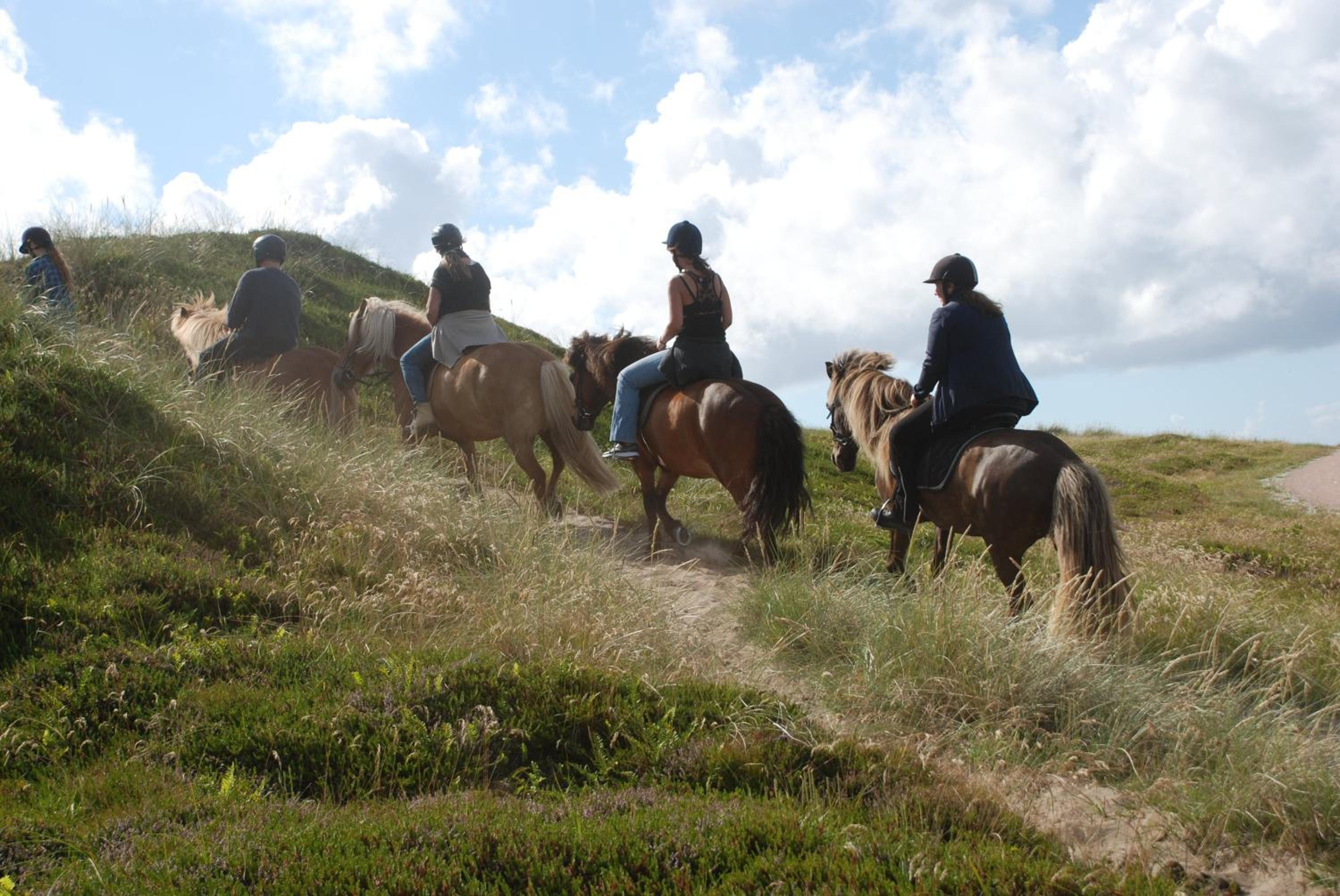 Sommerhus Farmen i Hanstholm