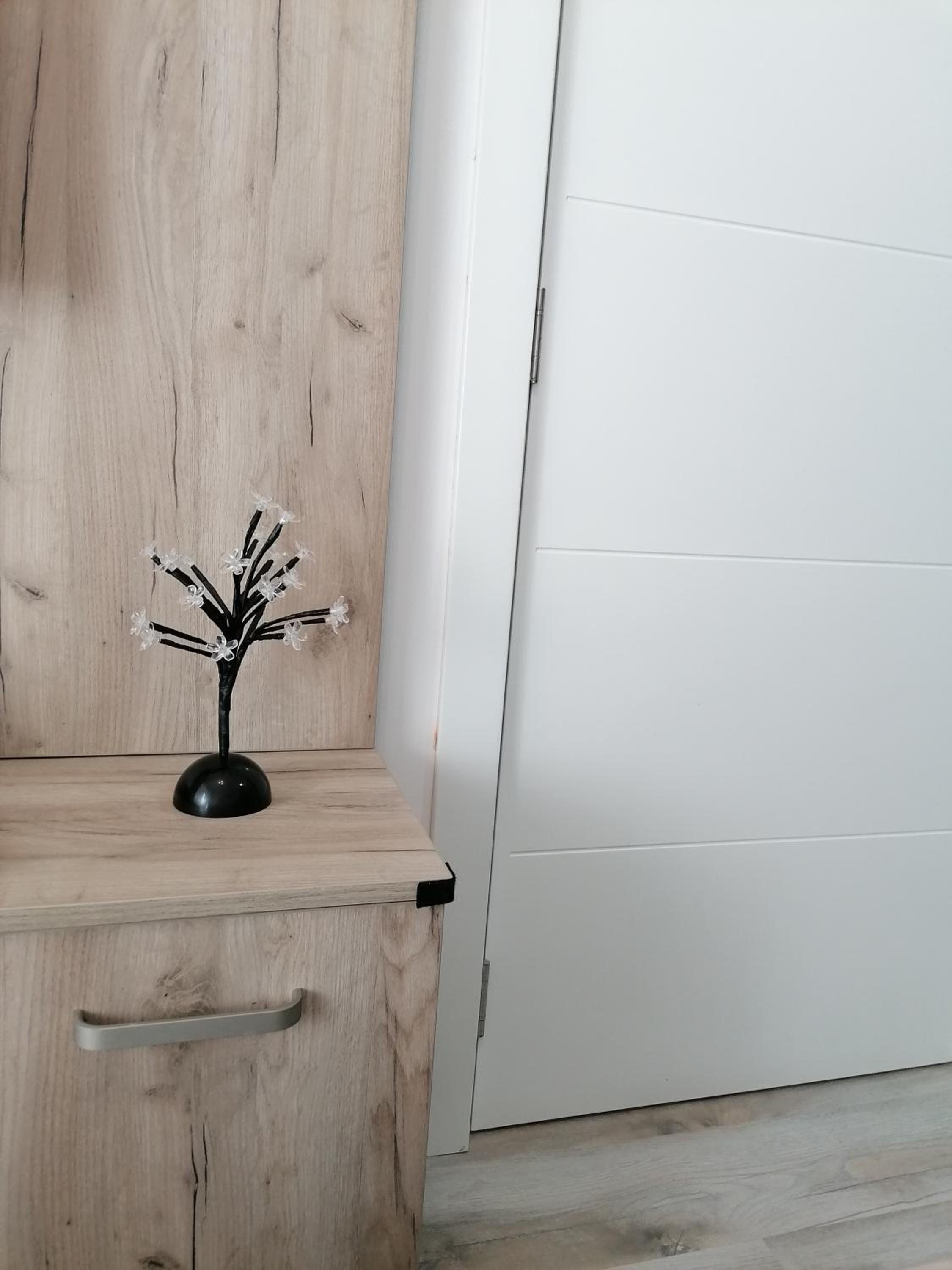 Apartman Div Kopaonik view 4