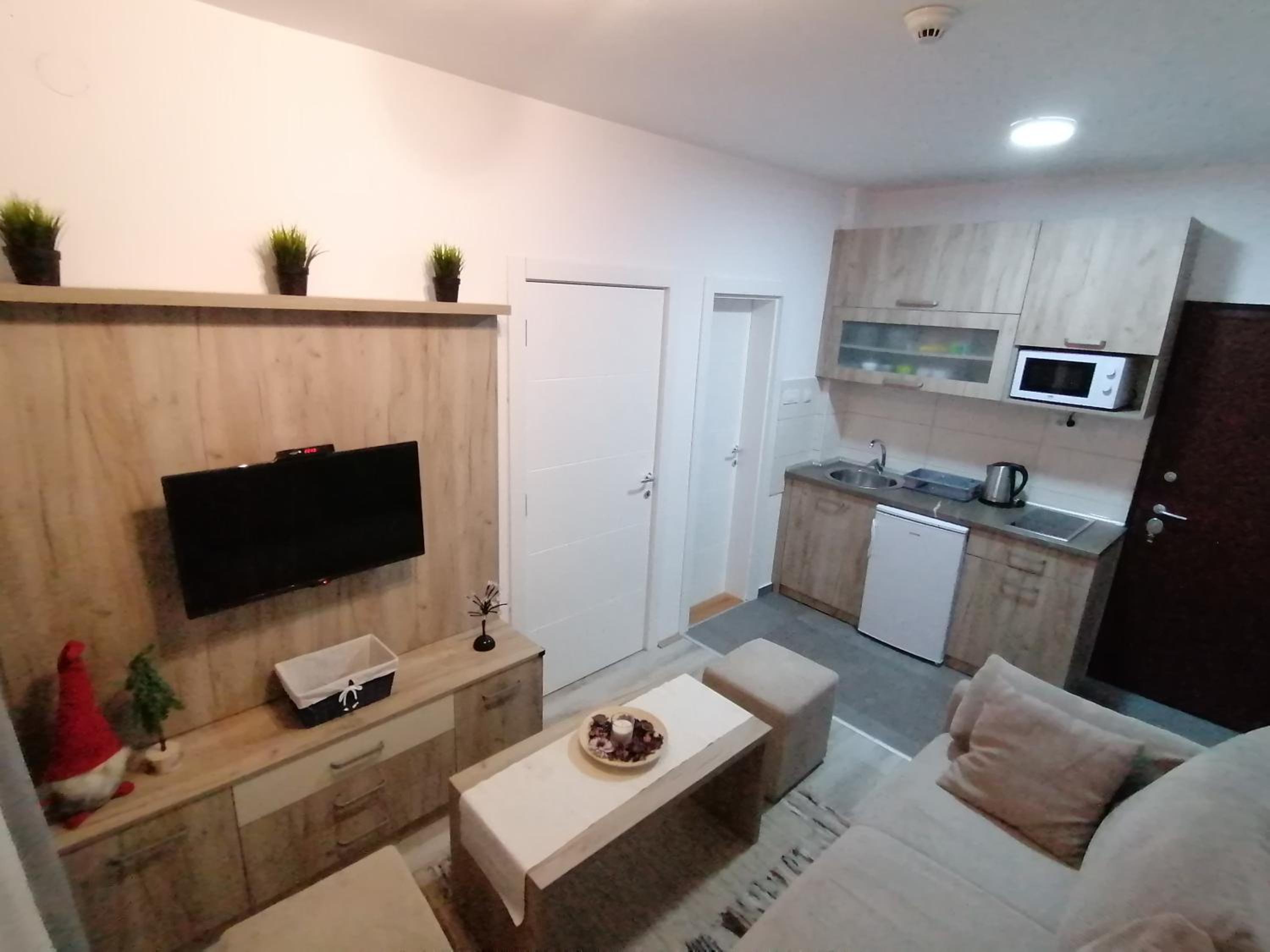 Apartman Div Kopaonik view 3