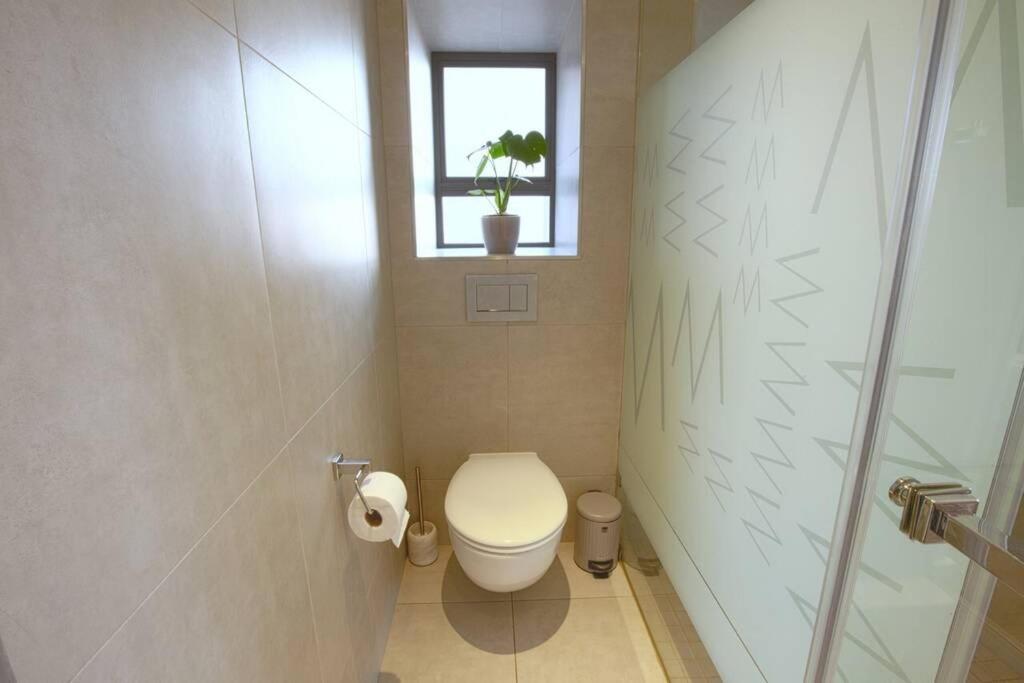New Luxury Spacious Apartment