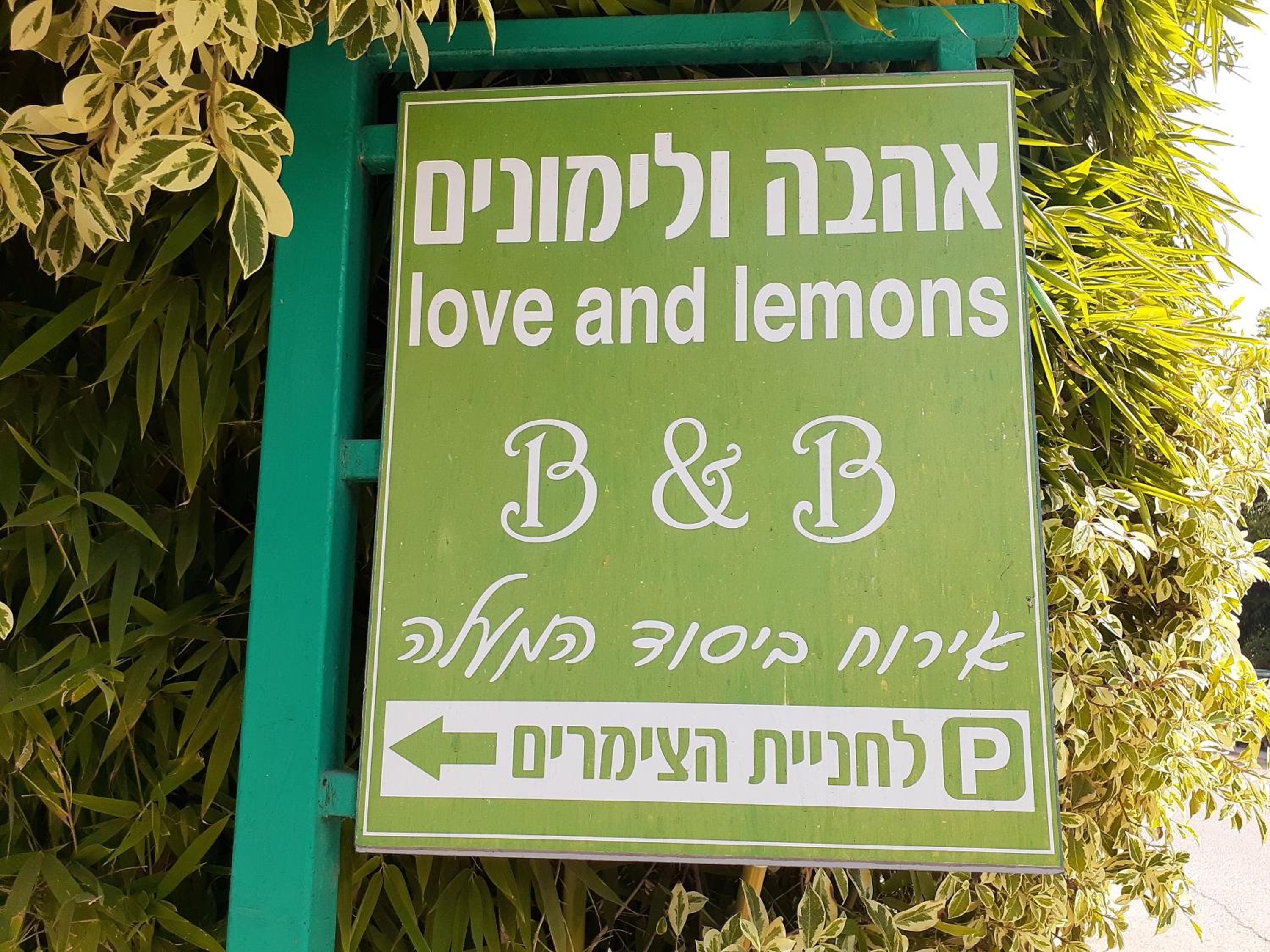 Love & Lemons