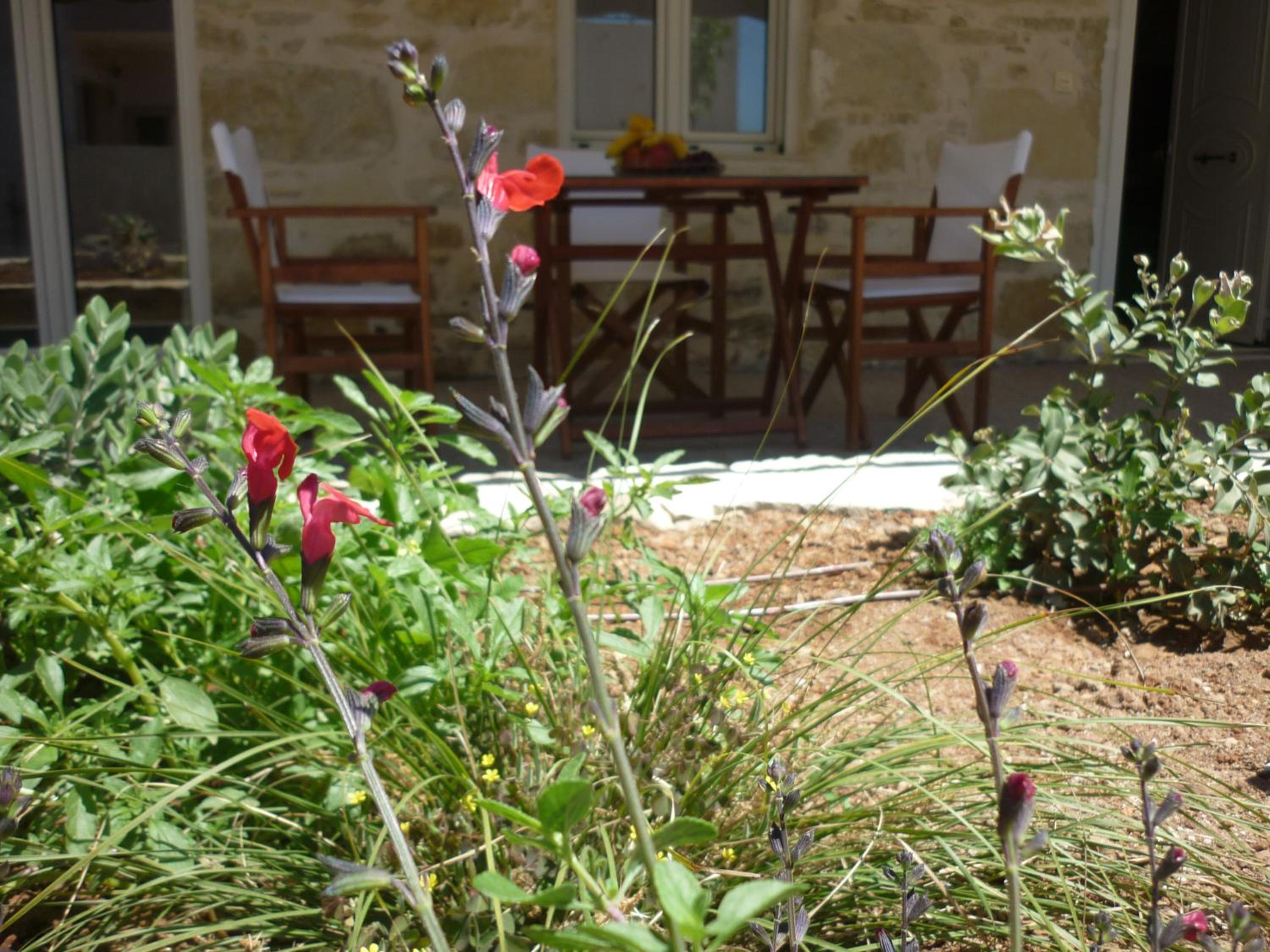 Zeus Traditional House view 4
