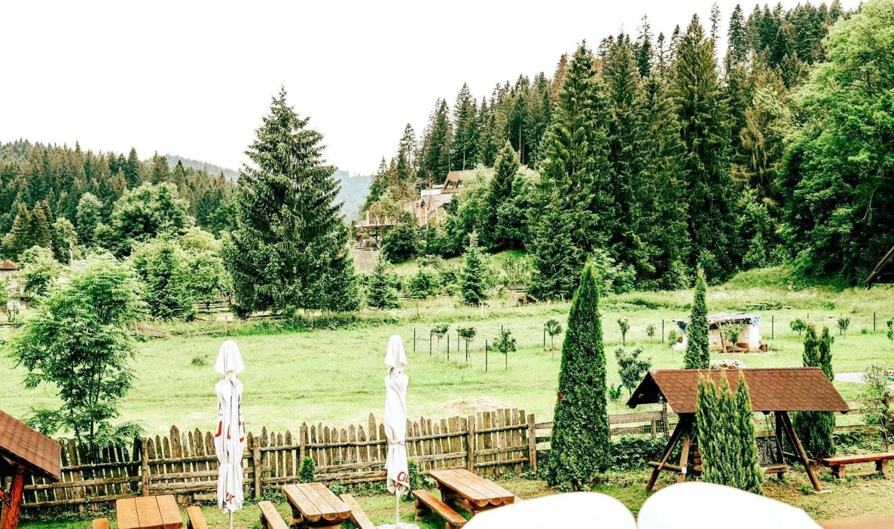 Blumenhof Bucovina view 5