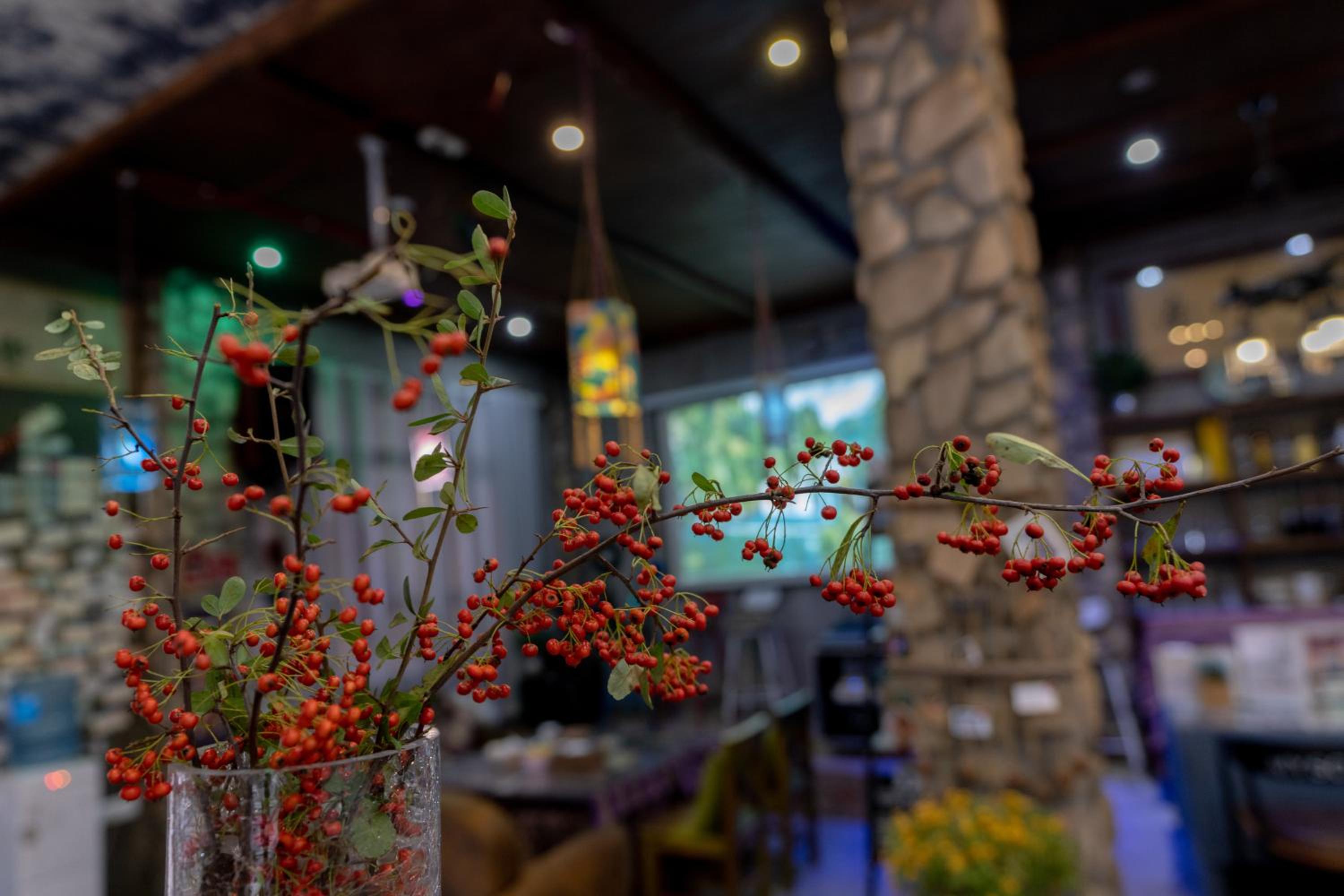 Zhangjiajie Highlights Guesthouse