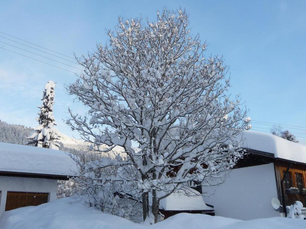 Haus am Weißenbach view 4