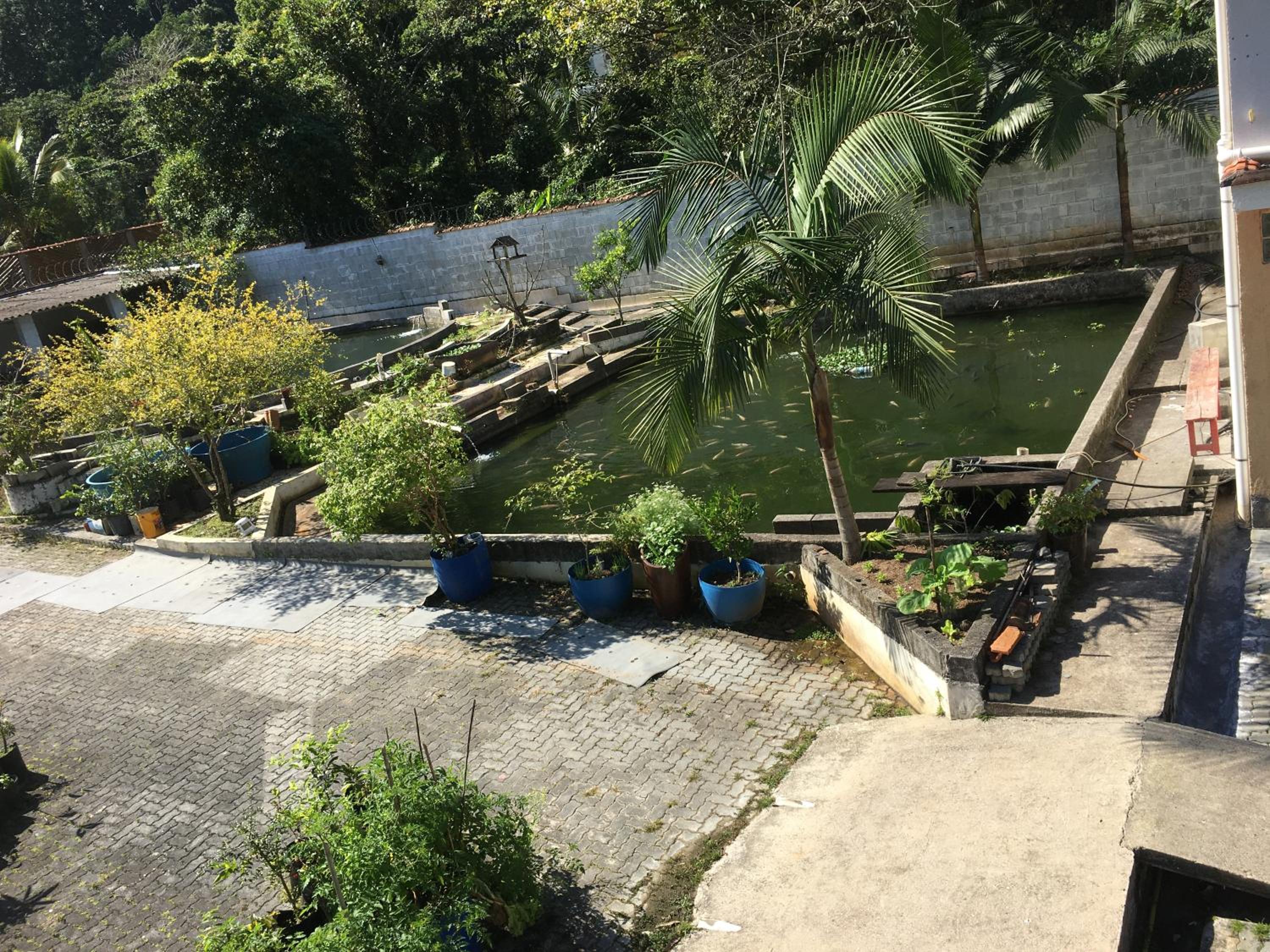 Takeo's House