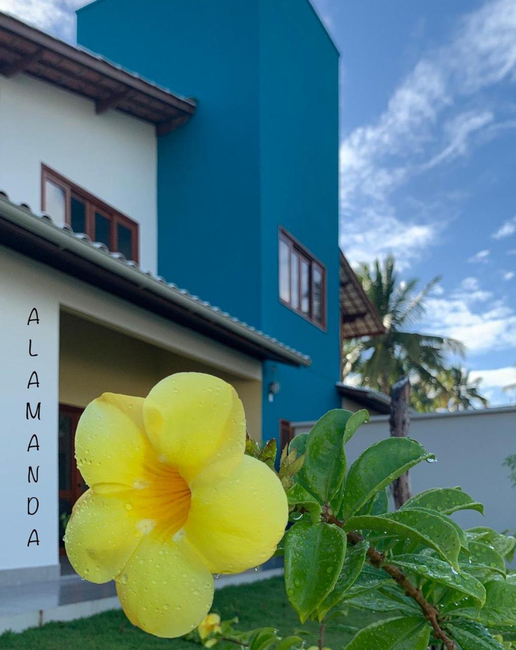 Flat Alamanda view 3