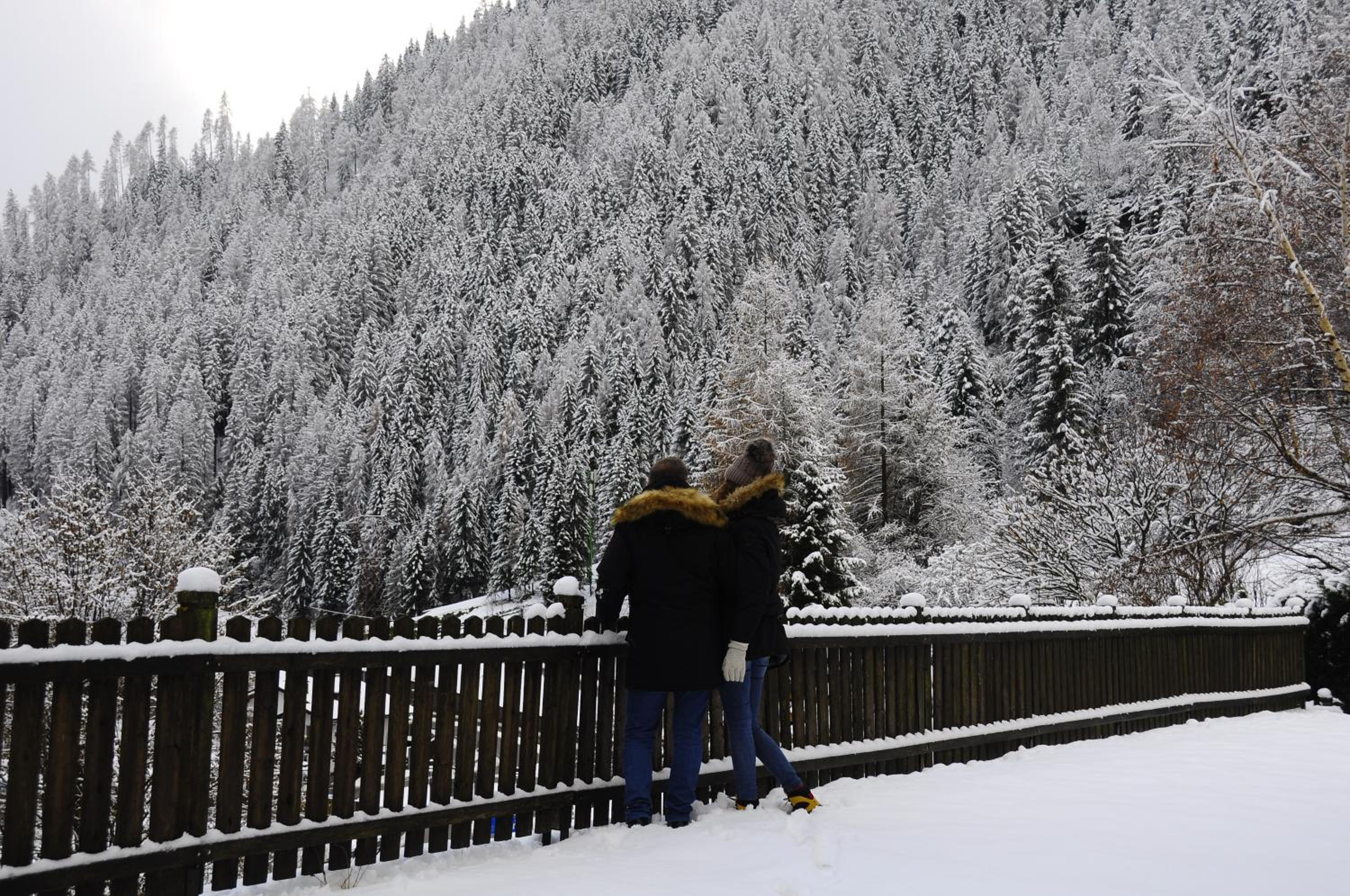 B&BeautyFol Dolomites B&B adults only view 3