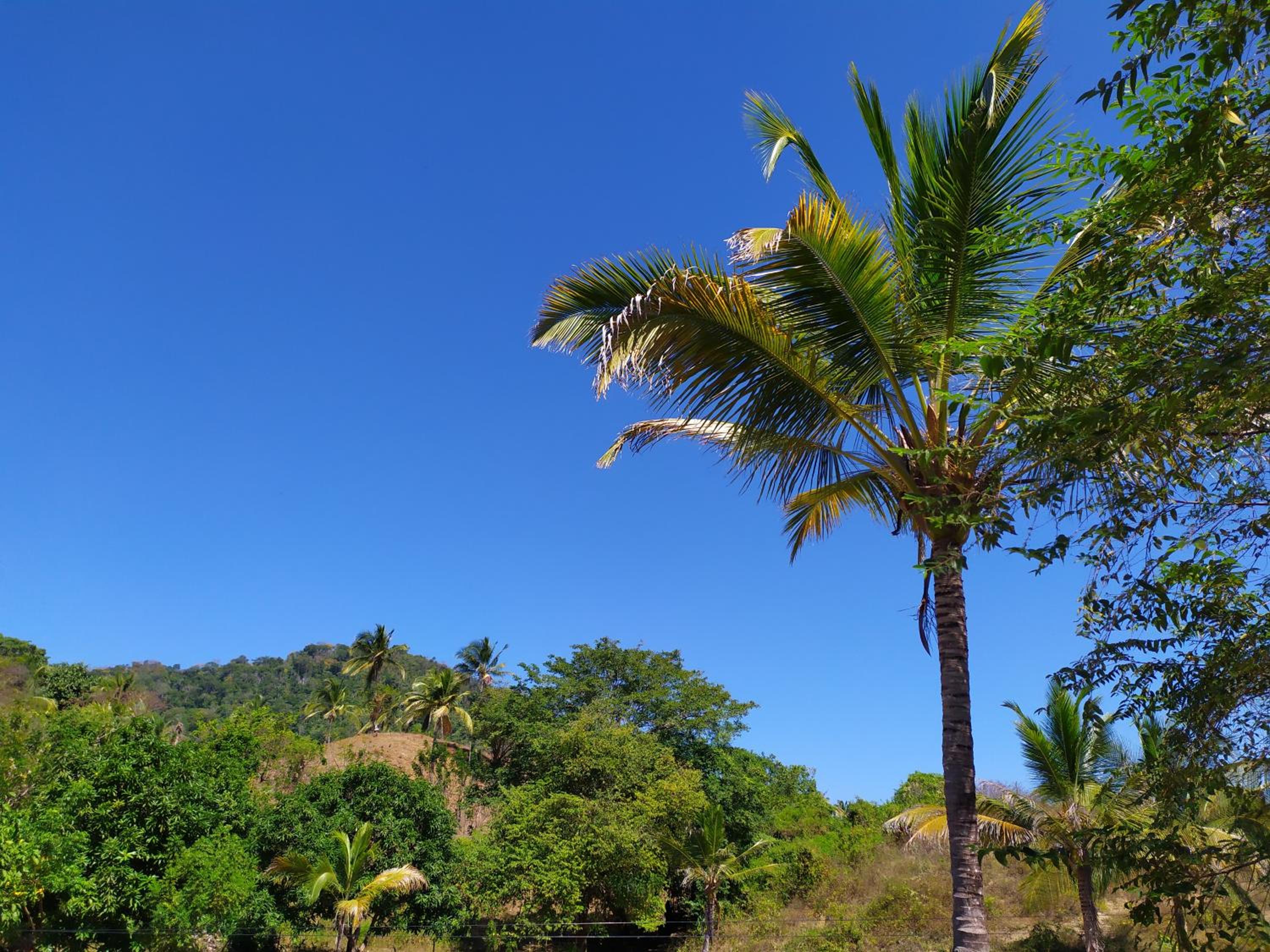 Hostal Recuerdos del Tayrona