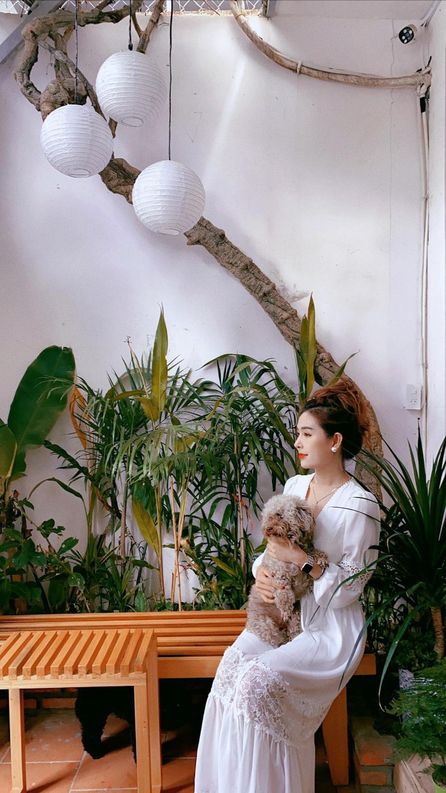 Photo 40