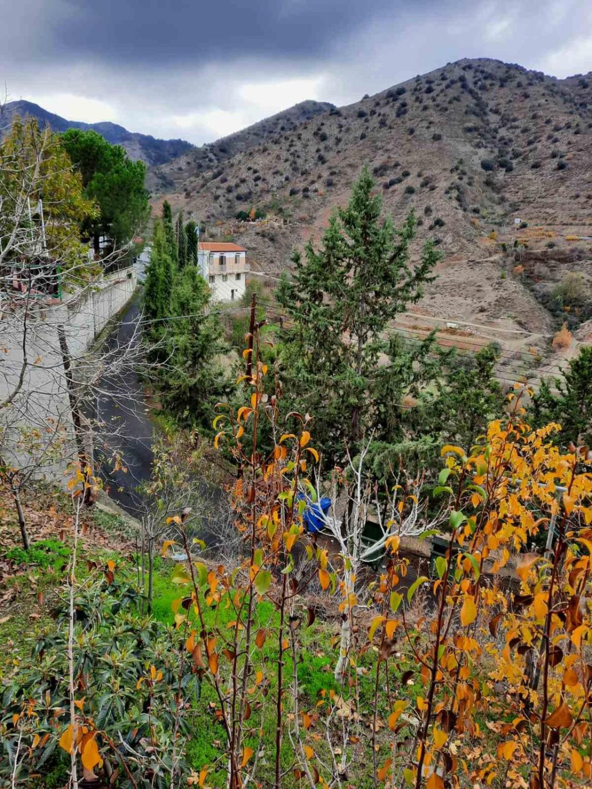 Photo 58