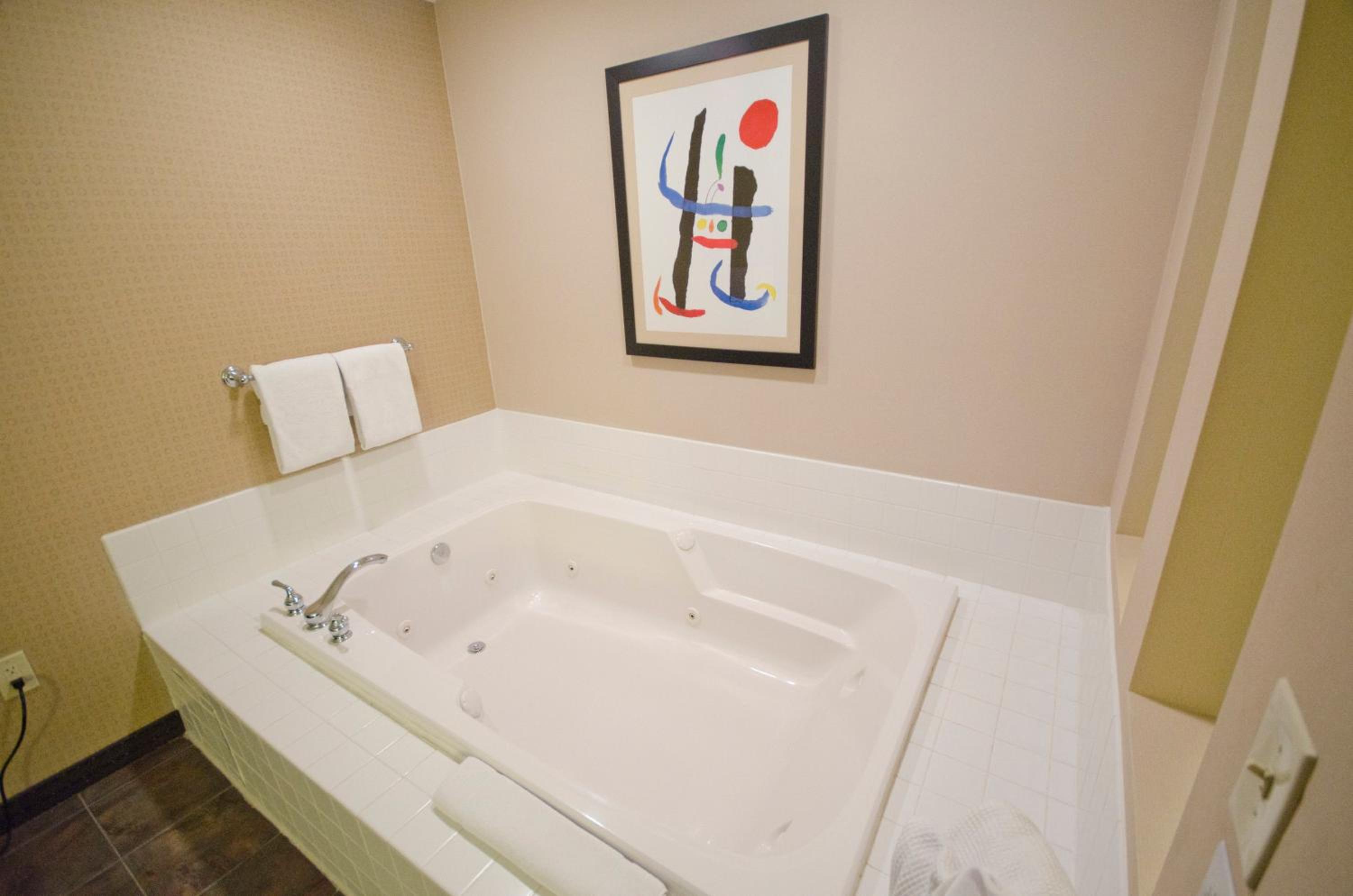Holiday Inn St. Paul Northeast - Lake Elmo, an IHG Hotel - Property Image 118