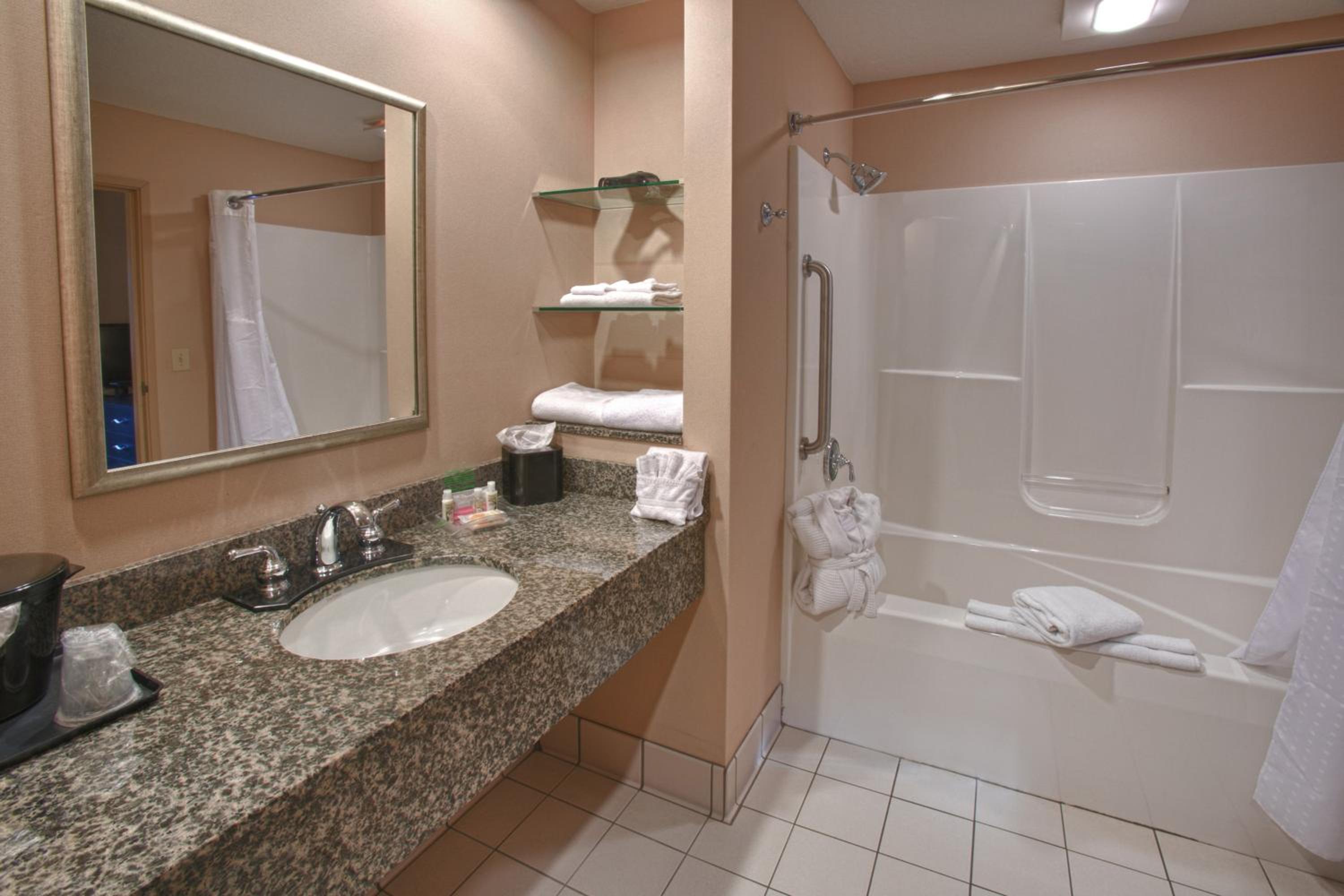 Holiday Inn St. Paul Northeast - Lake Elmo, an IHG Hotel - Property Image 29
