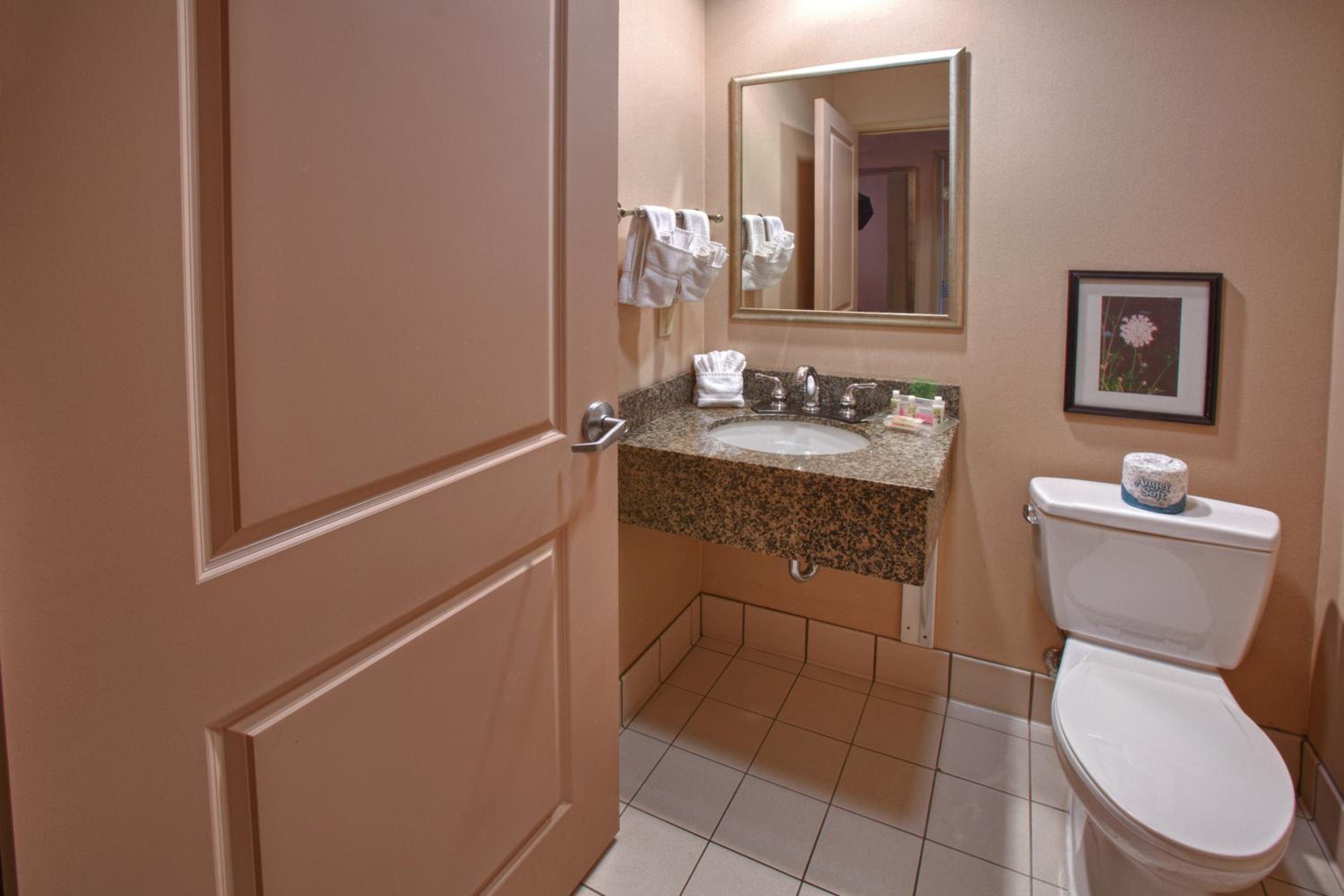 Holiday Inn St. Paul Northeast - Lake Elmo, an IHG Hotel - Property Image 30