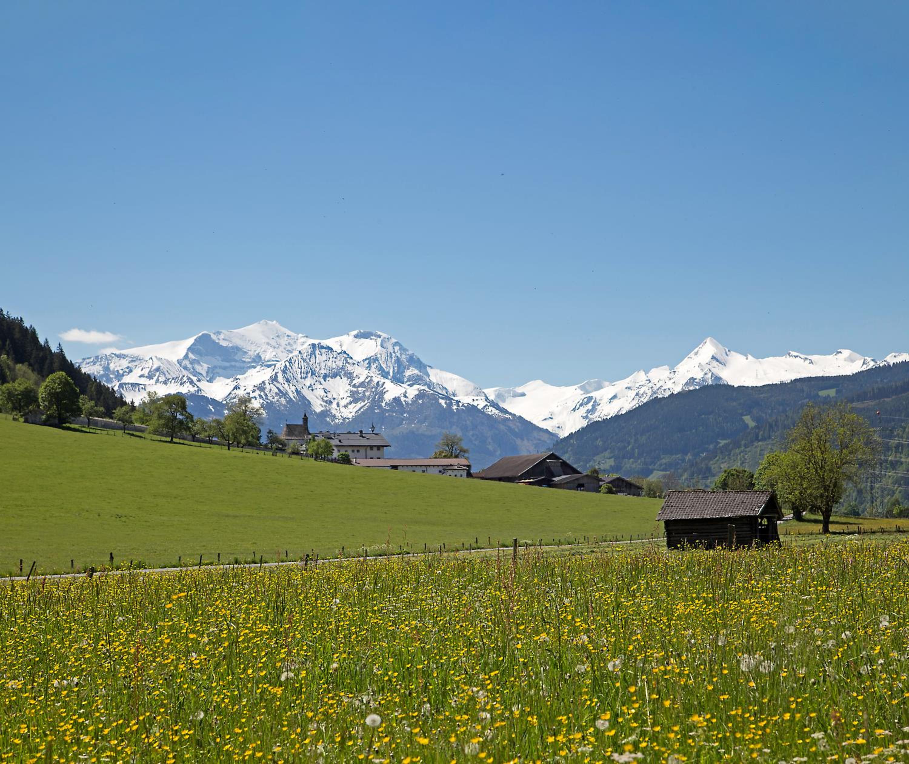 Gartenwohnung Robinigg