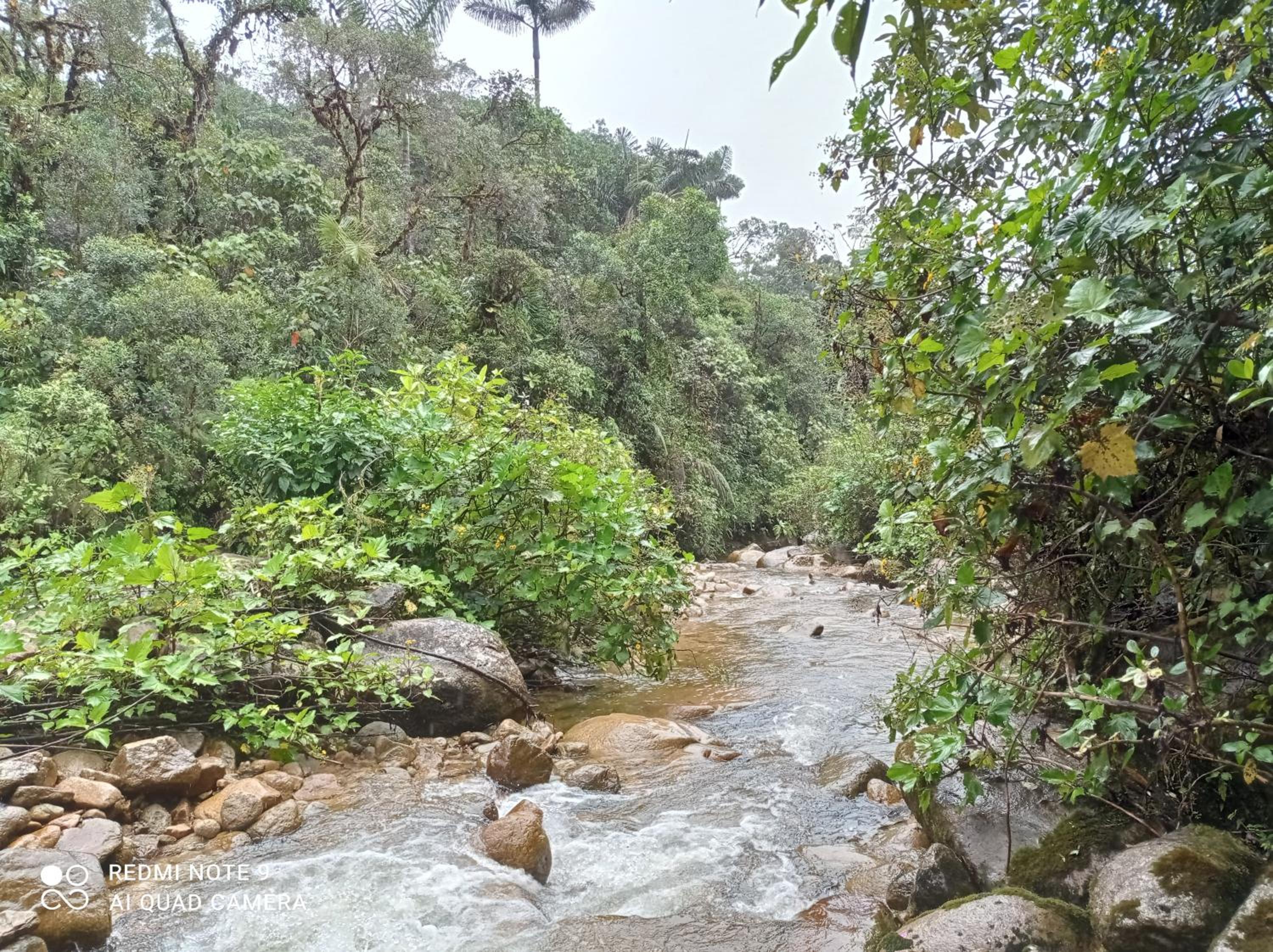 Hostal de la montaña ecoturismo