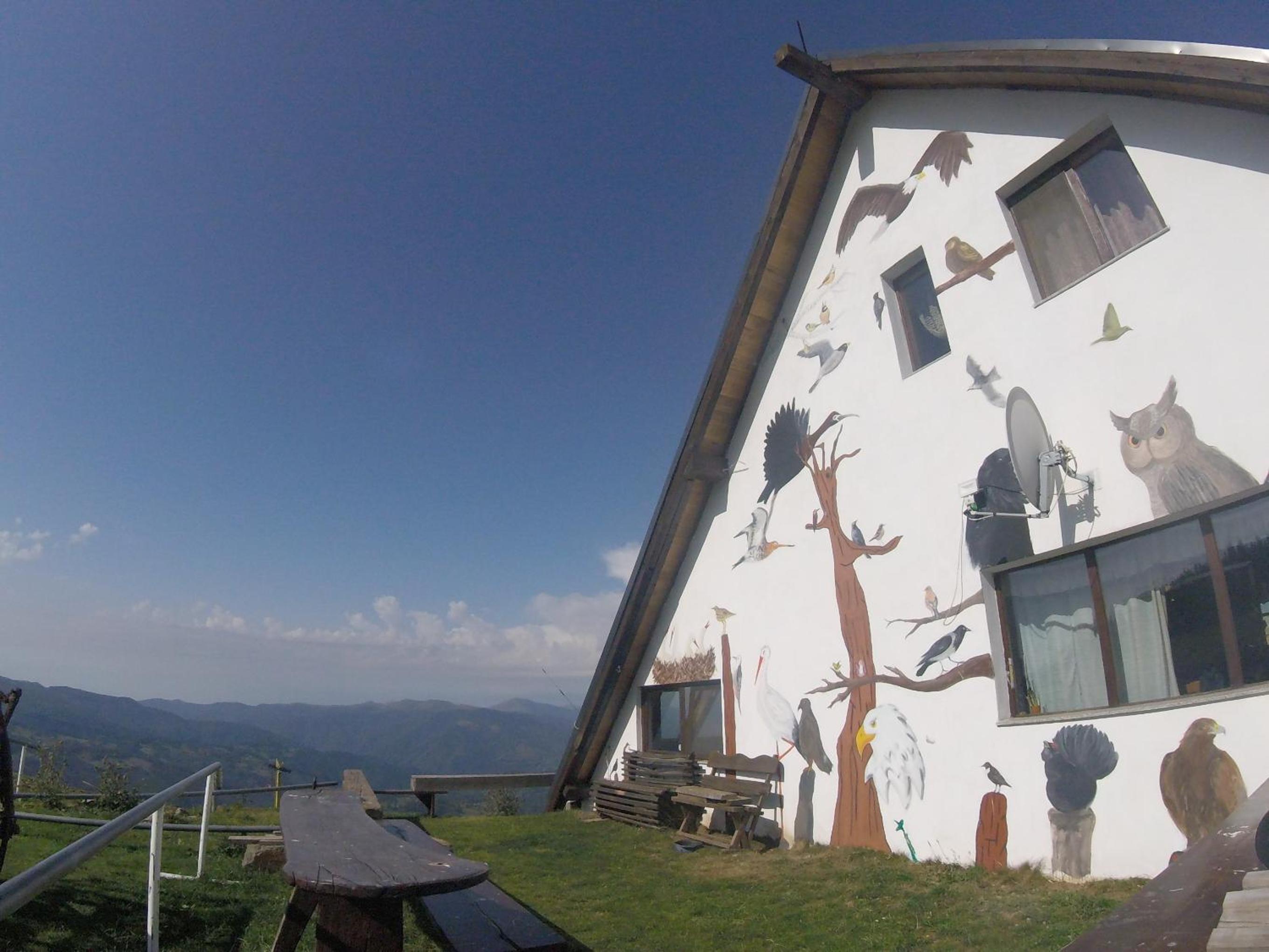 Photo 52