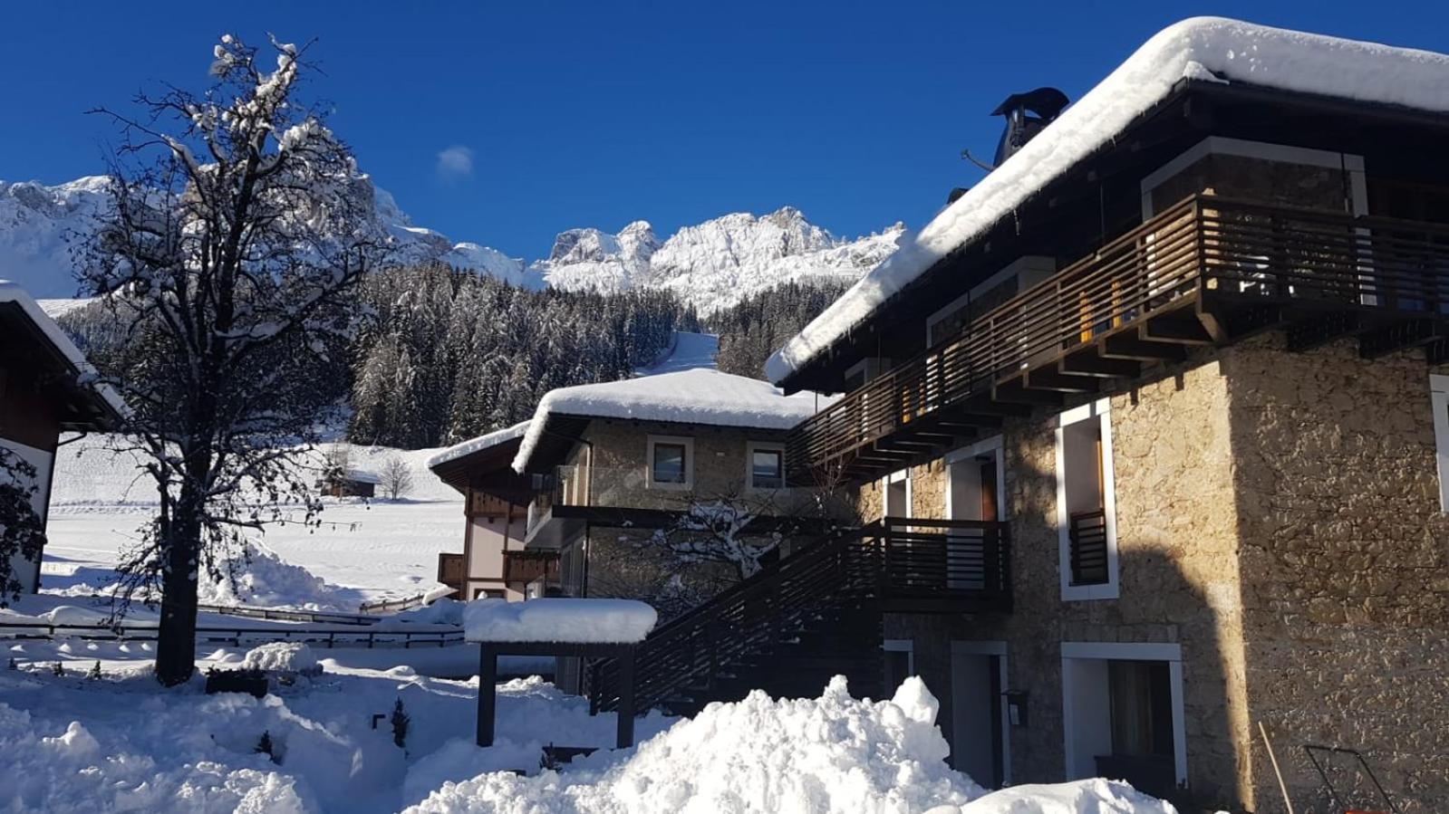 Comelico Chalet view 2