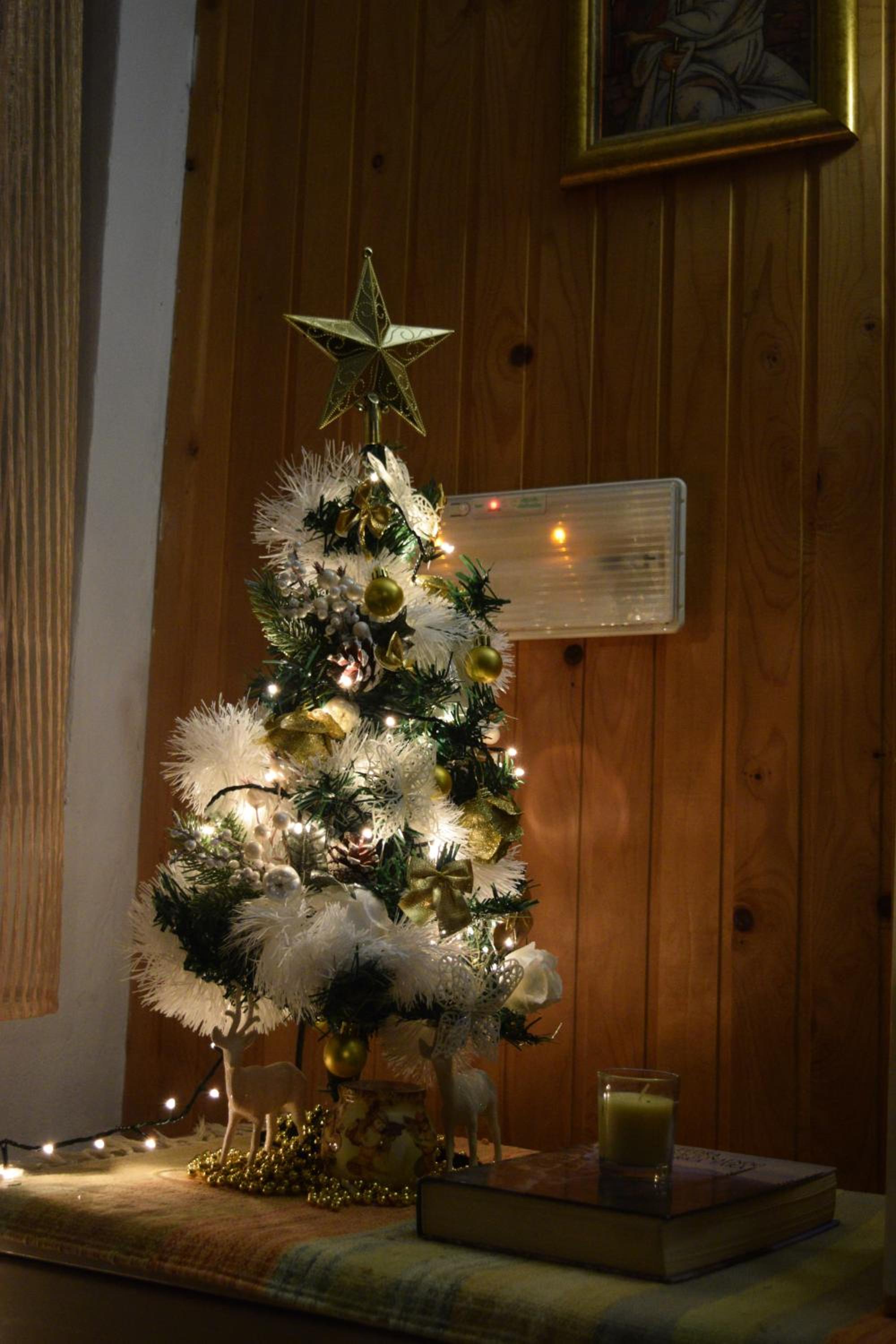 Photo 31