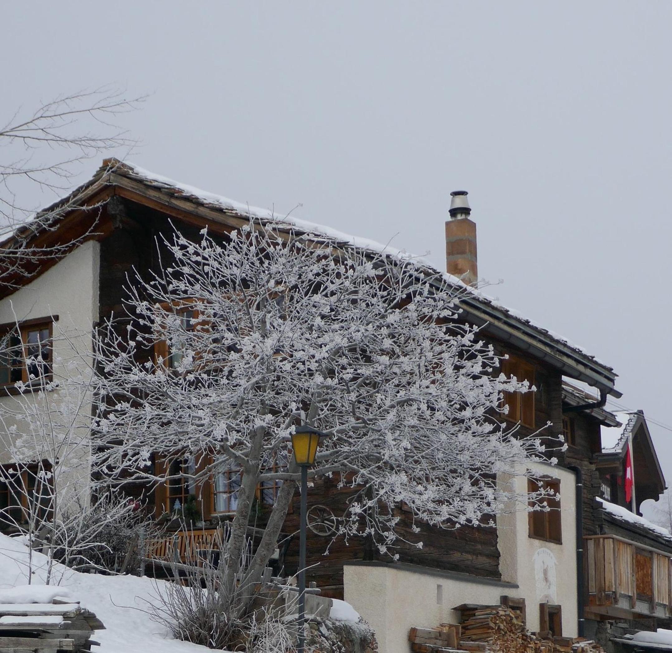 Photo 47