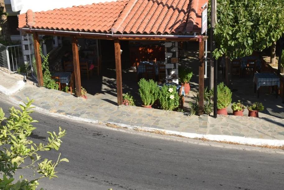 Mesohori studios view 2