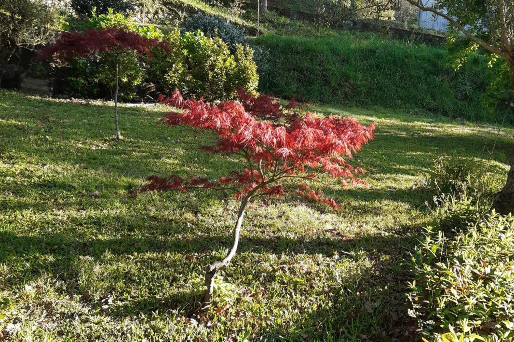 Cavado's heights Braga view 5