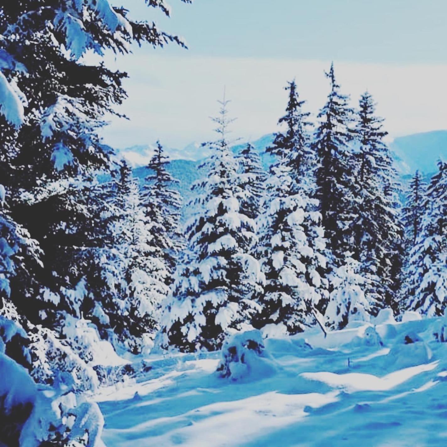 La Kabylie au coeur des 3 Vallées internet tout compris
