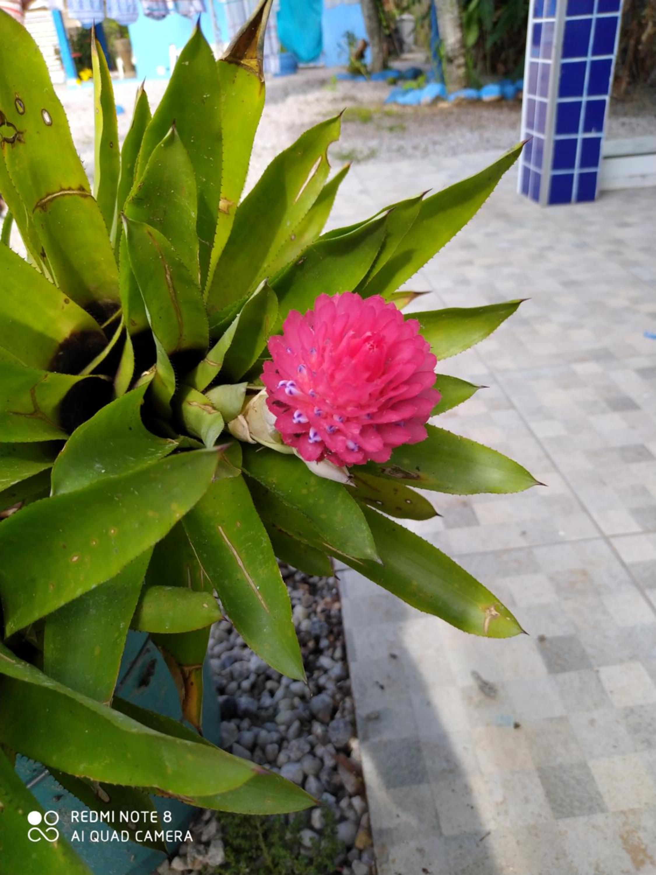Pousada Aquaria