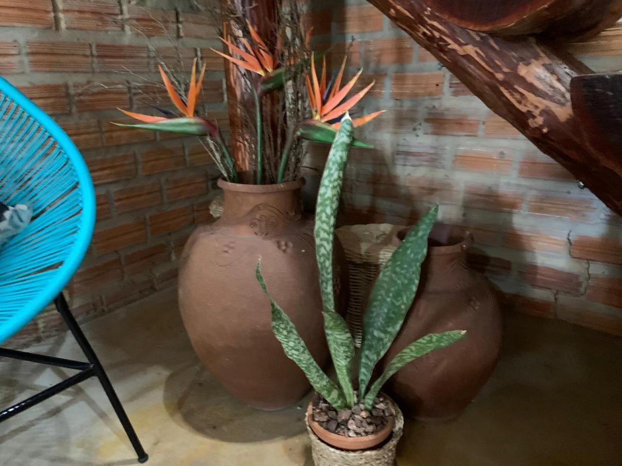 Super Chalé Macapá Meu Amor