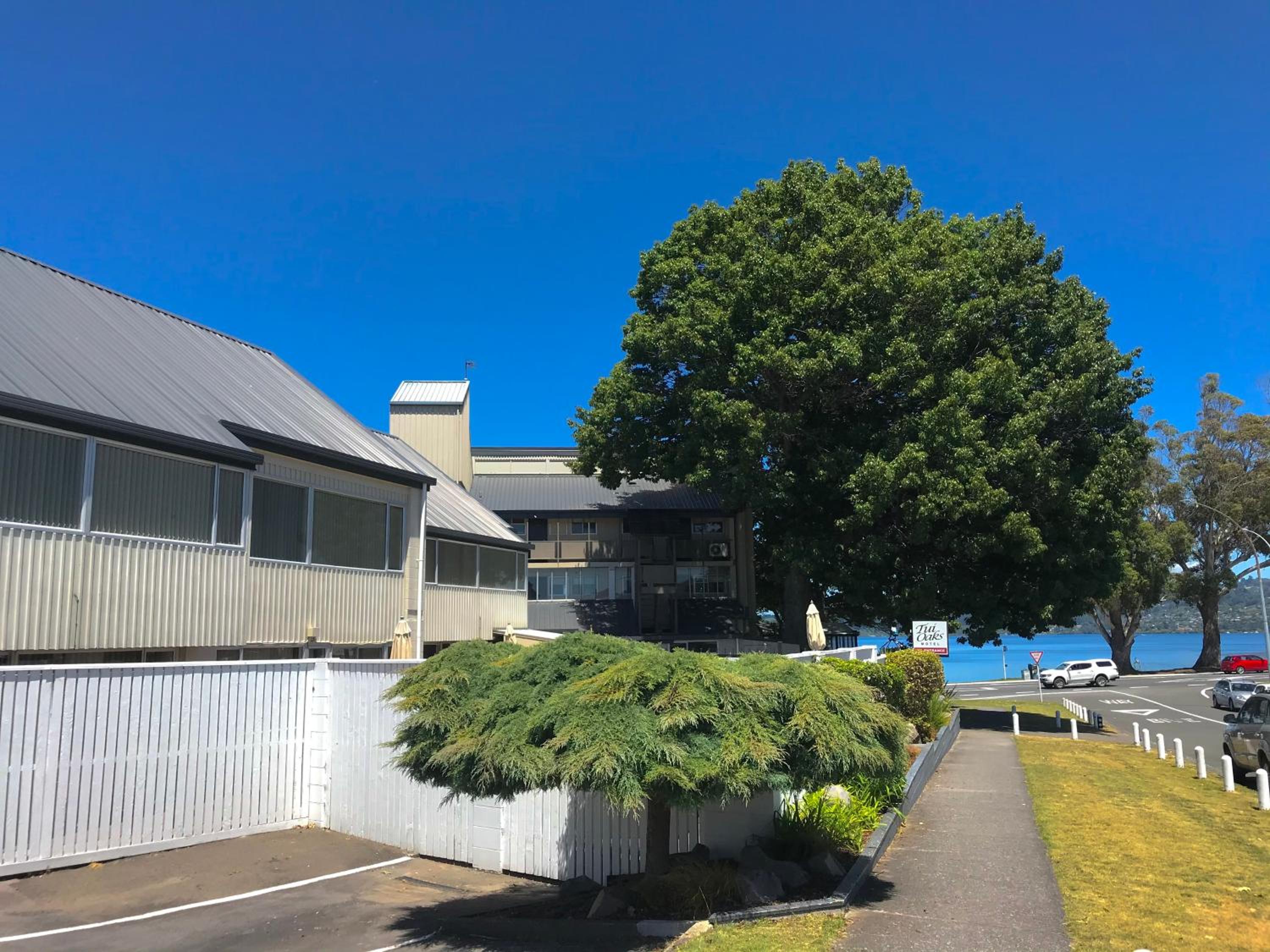 Tui Oaks Motel — photo 47