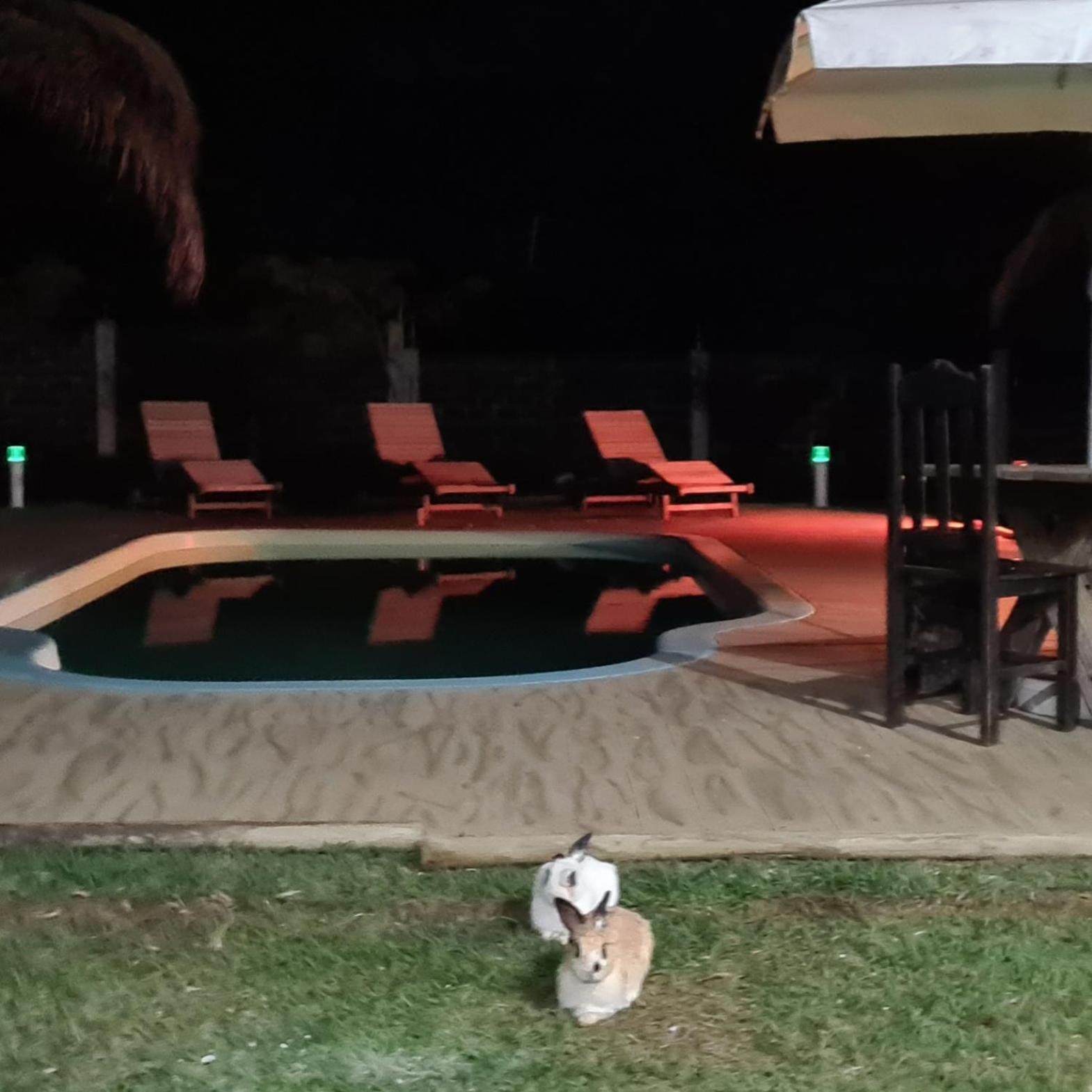 Gran Luha Motel, Hotel e Chalés