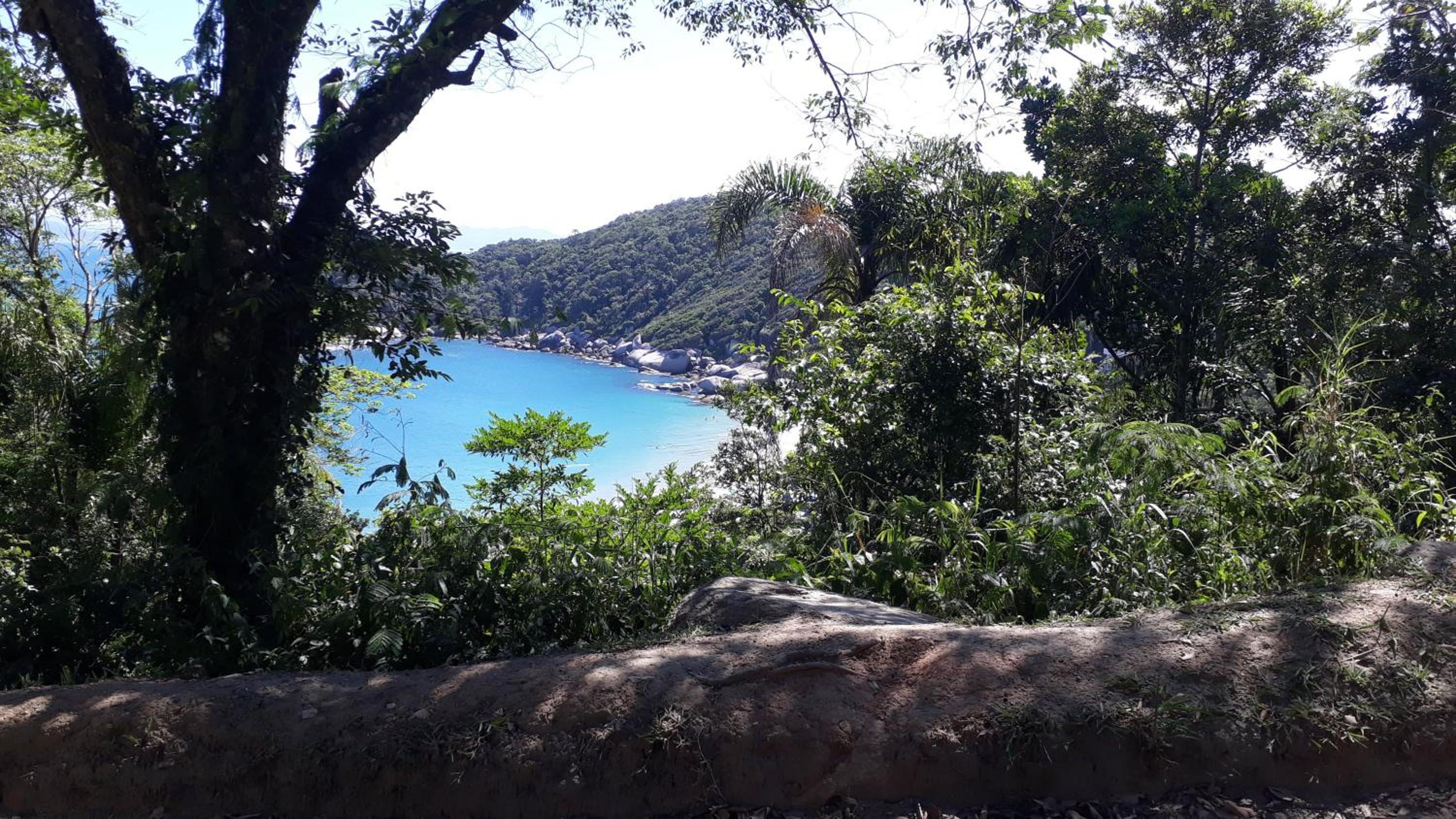 EXCELENTE APTO C/VISTA AO MAR view 5
