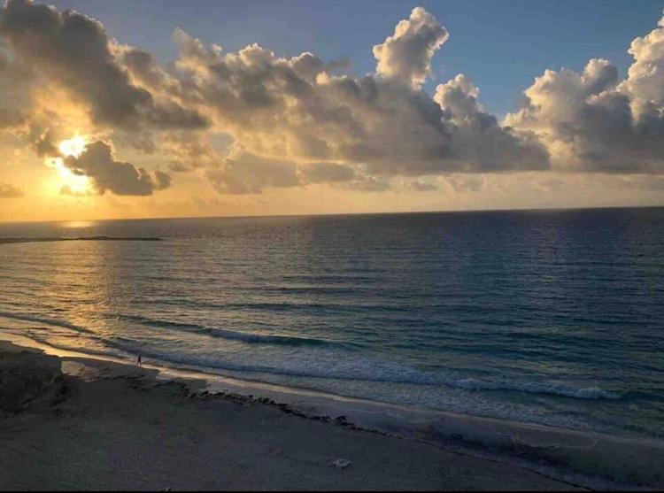 Studio oceanfront prime location