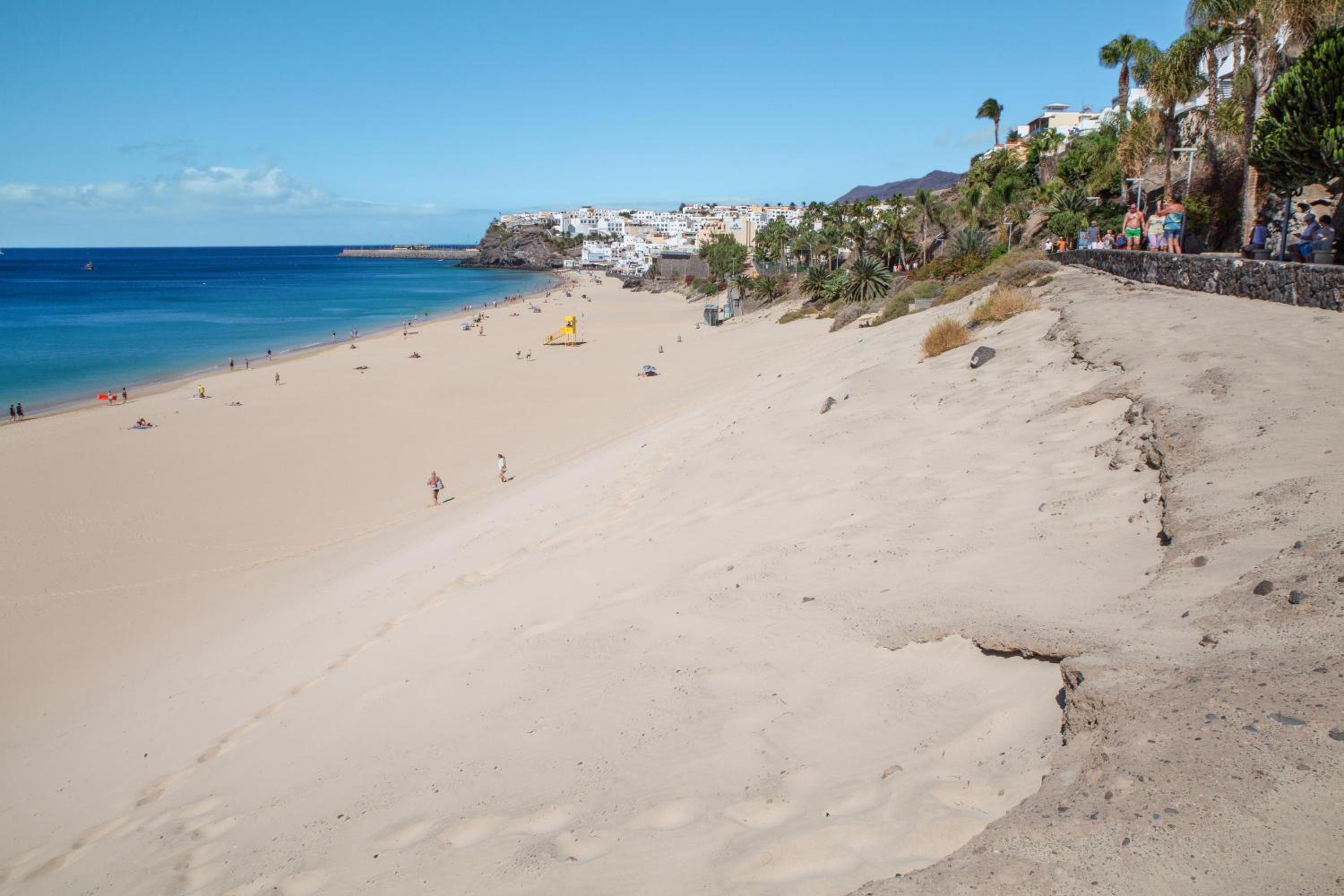 Palm Garden with sea views to the pools and beach photo 2