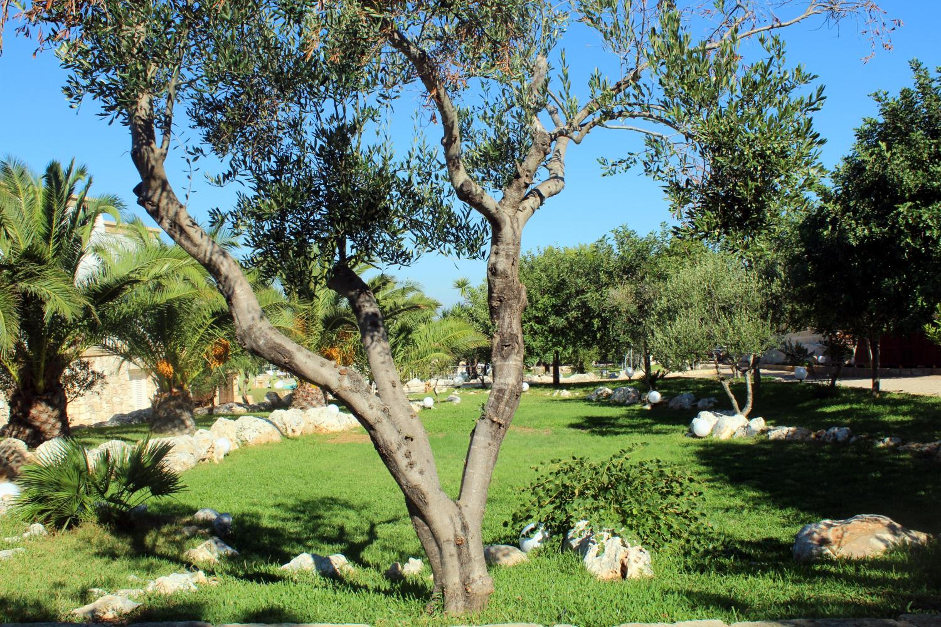 Photo 37