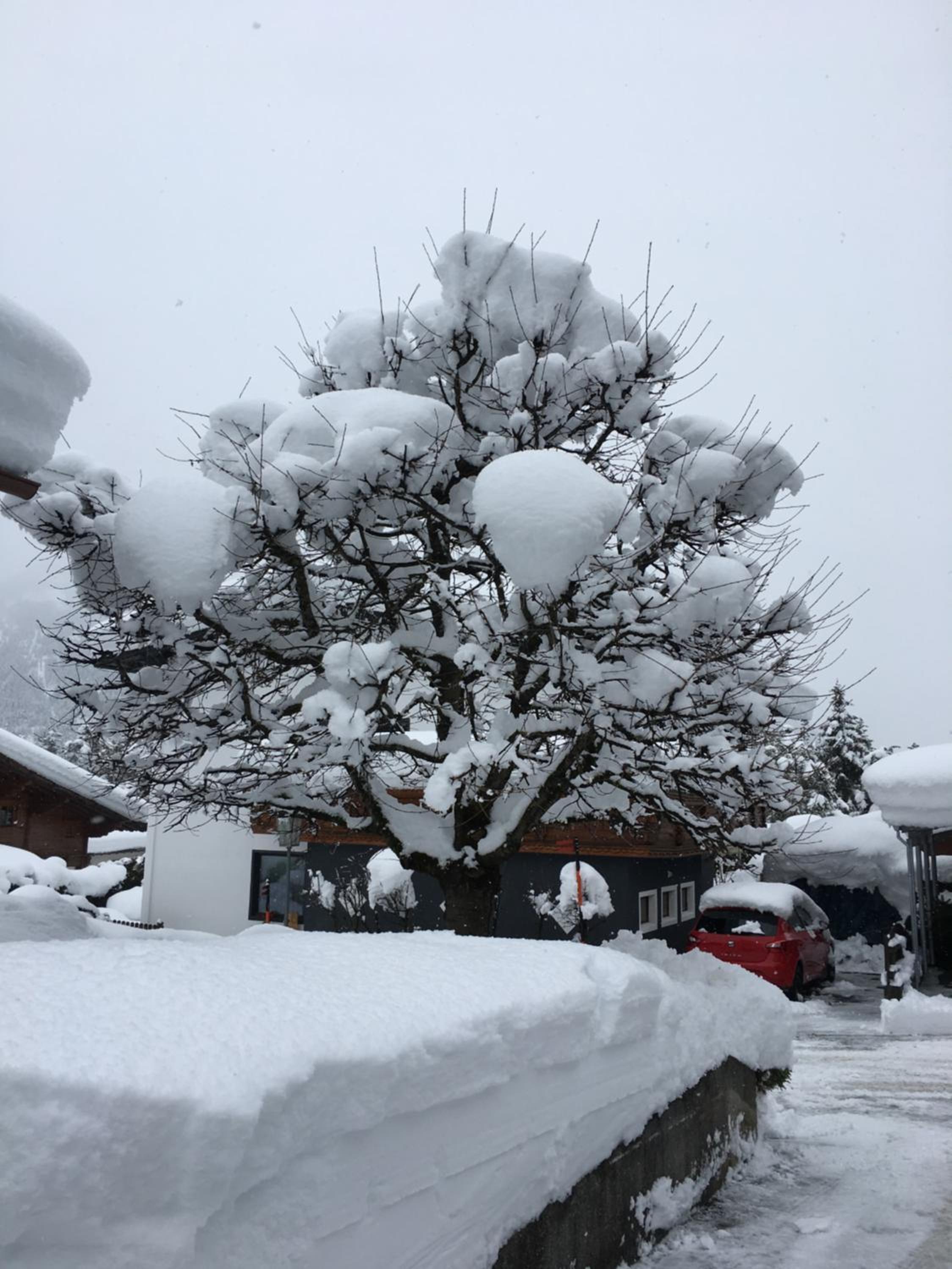 Haus Walser view 2