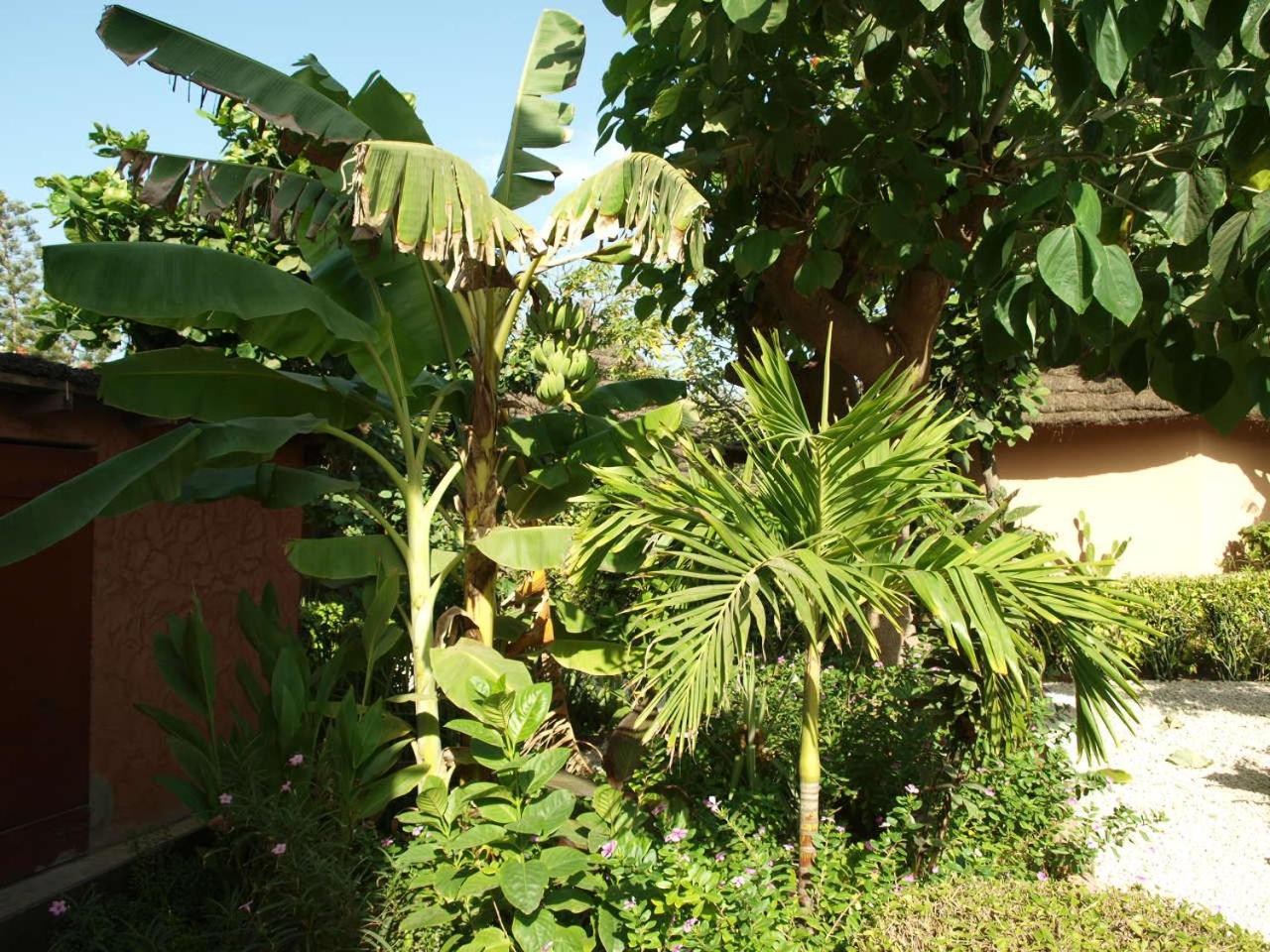 Photo 12