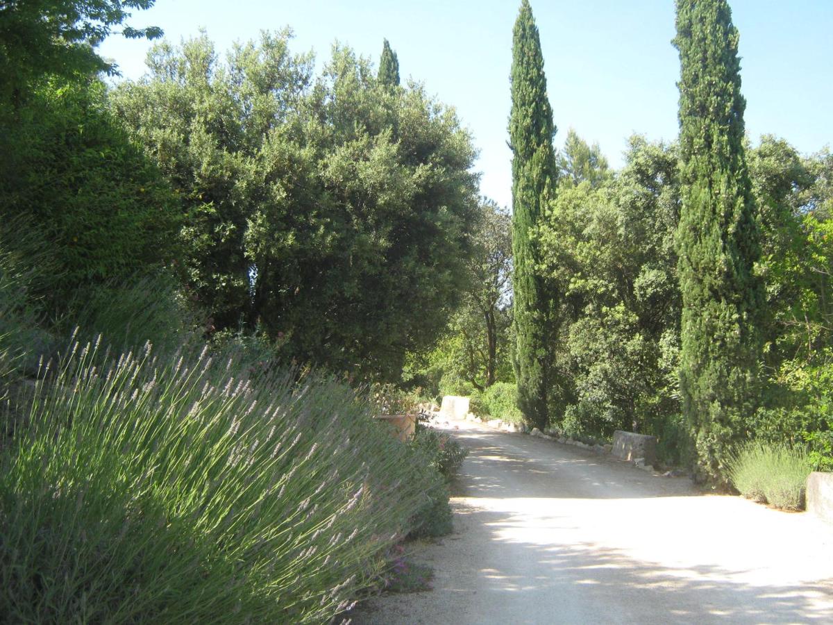 Photo 47
