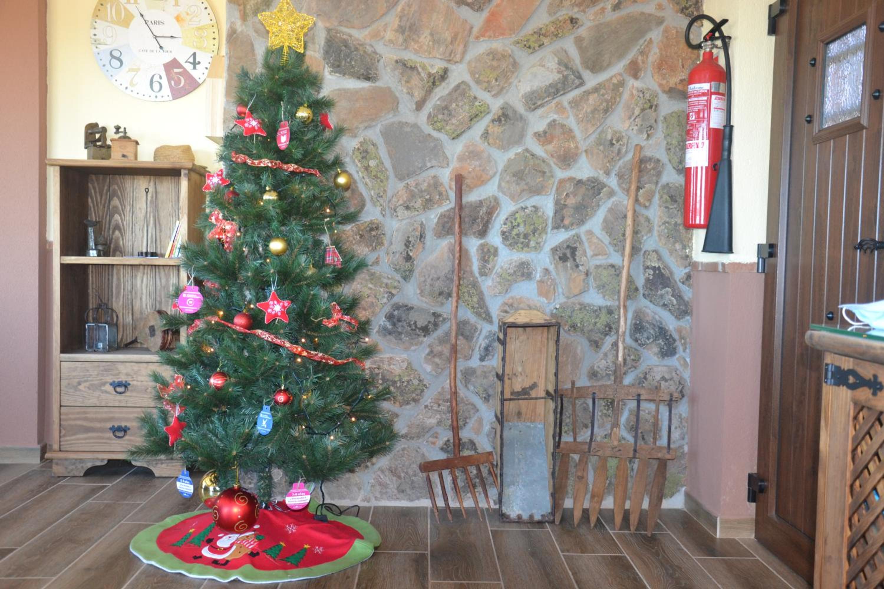 Photo 23
