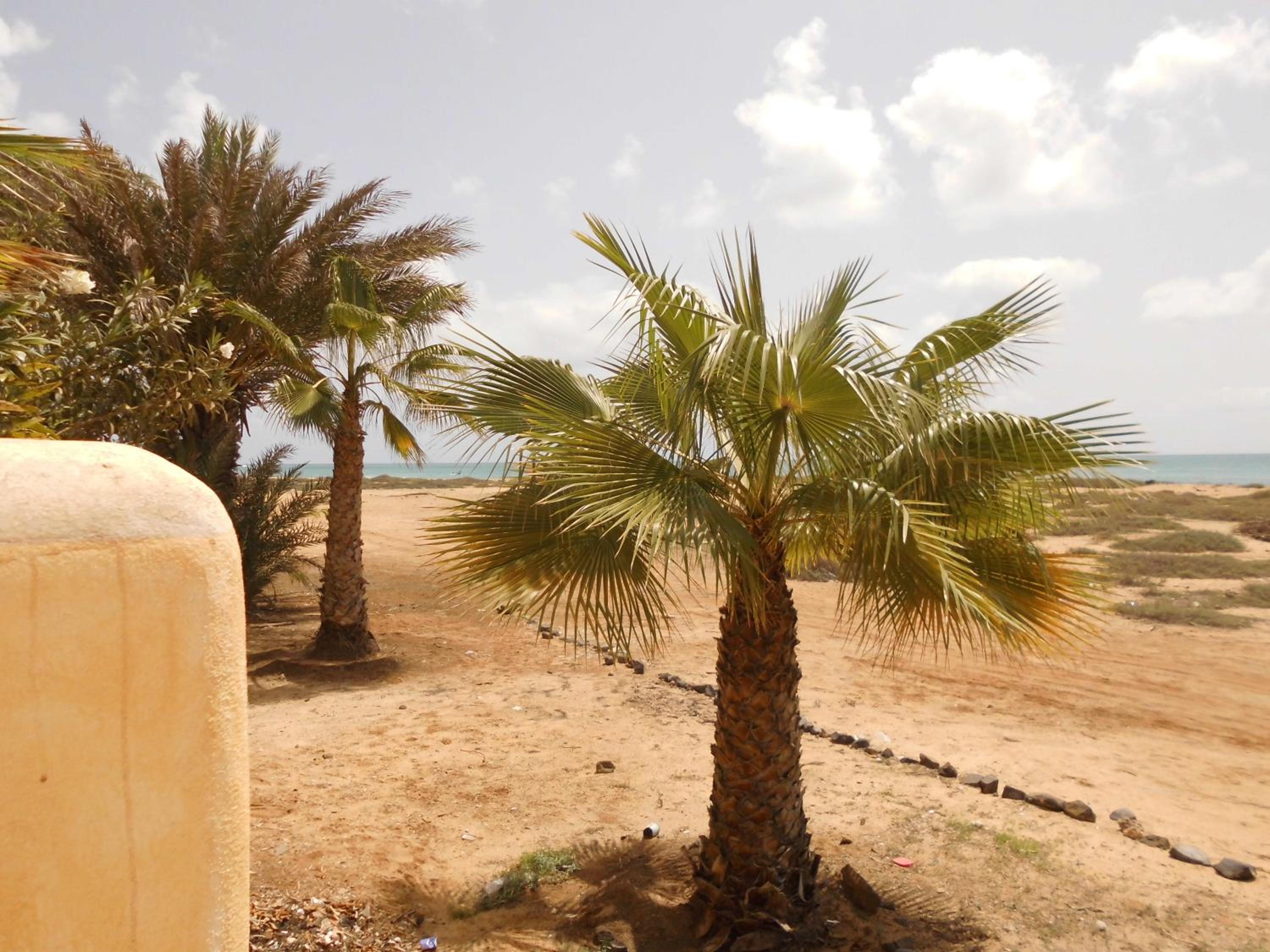 Sun & Beach Holiday
