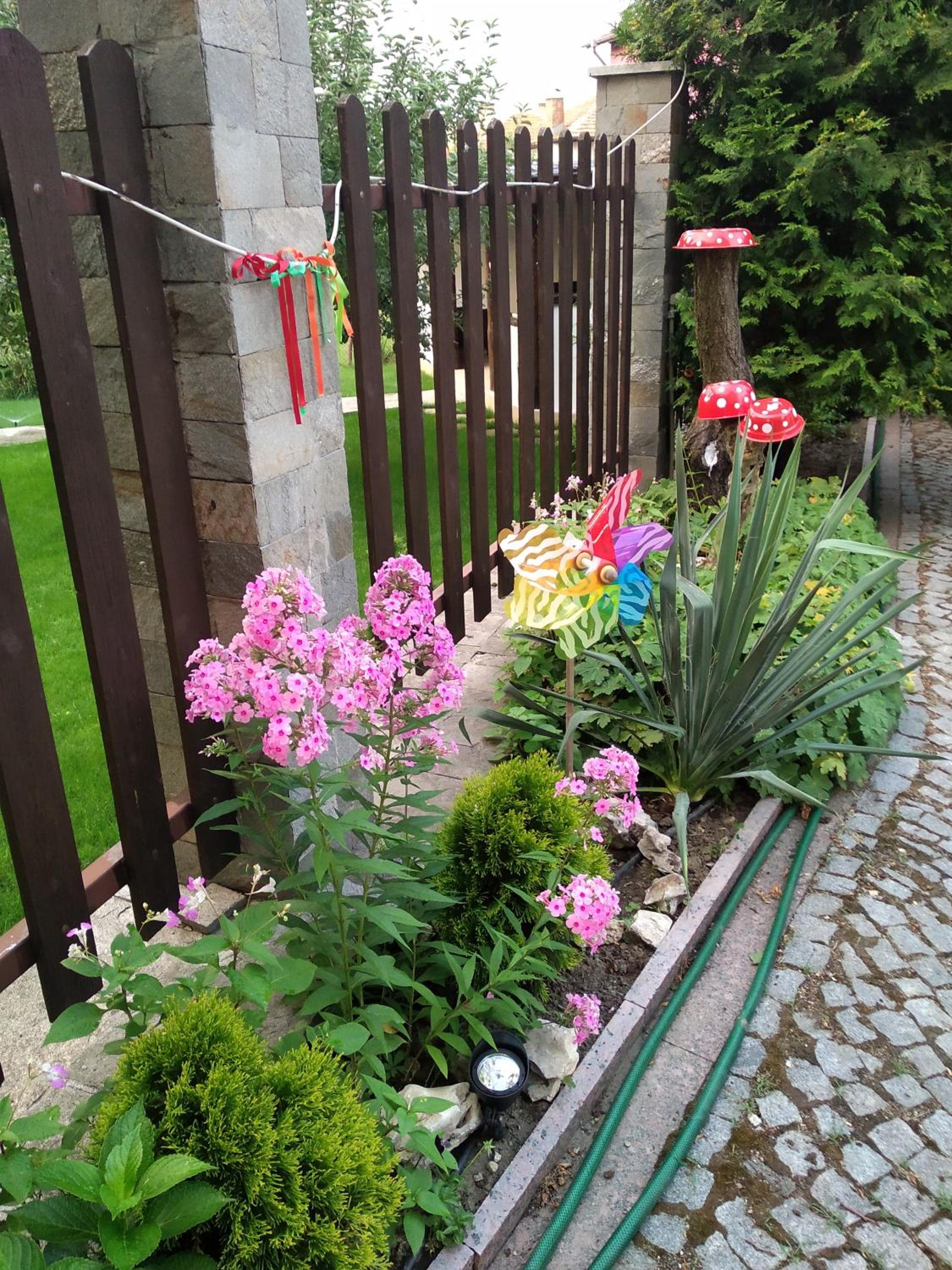 Photo 14