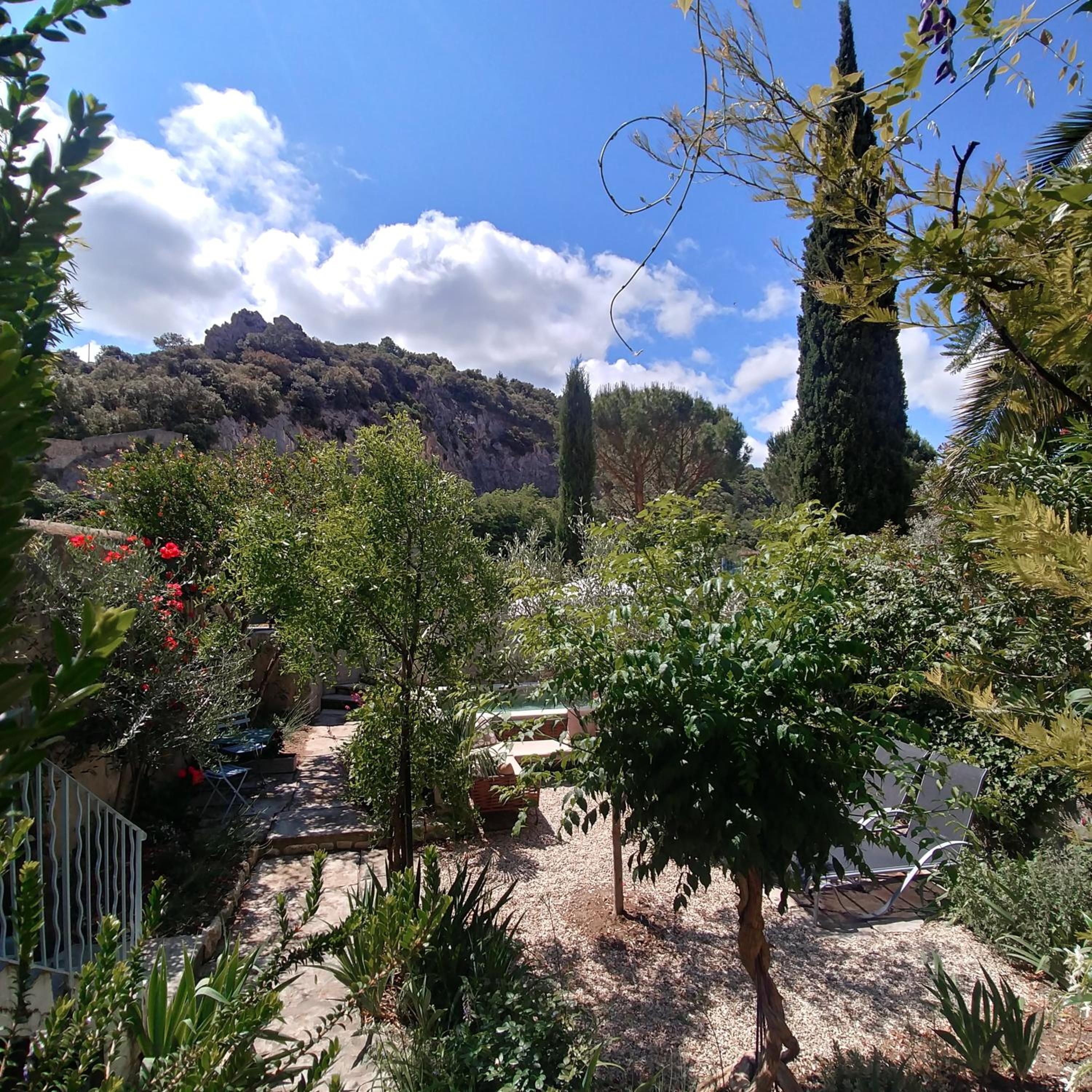 Photo 25