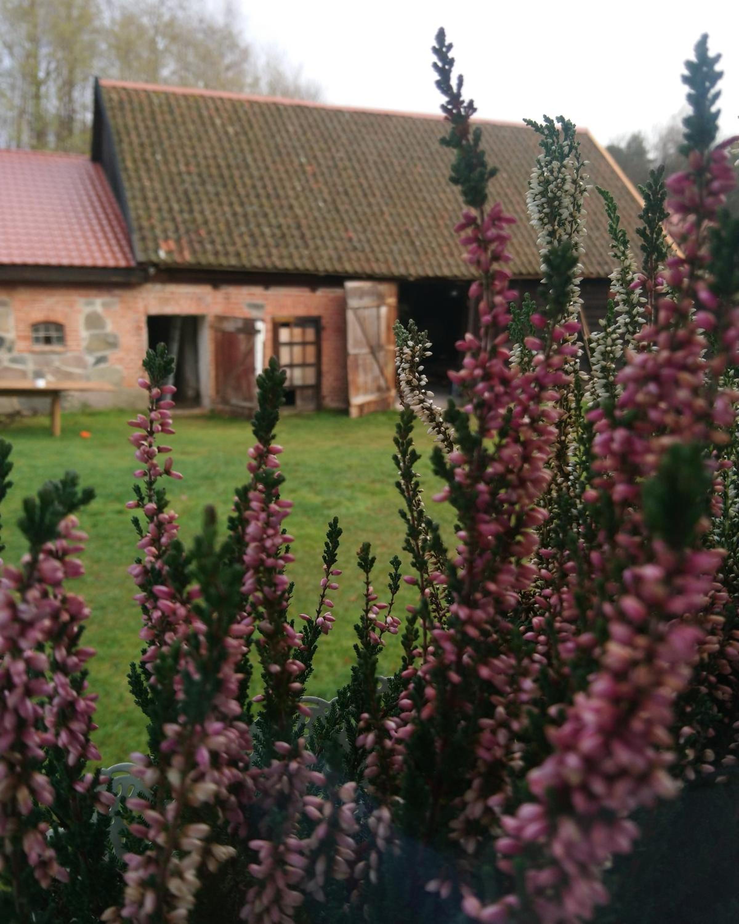 Photo 29