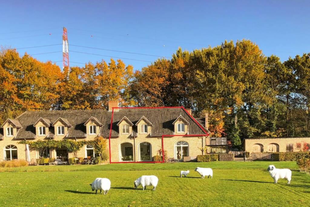 Gastenhuis prachtige Historische Vierkant Hoeve